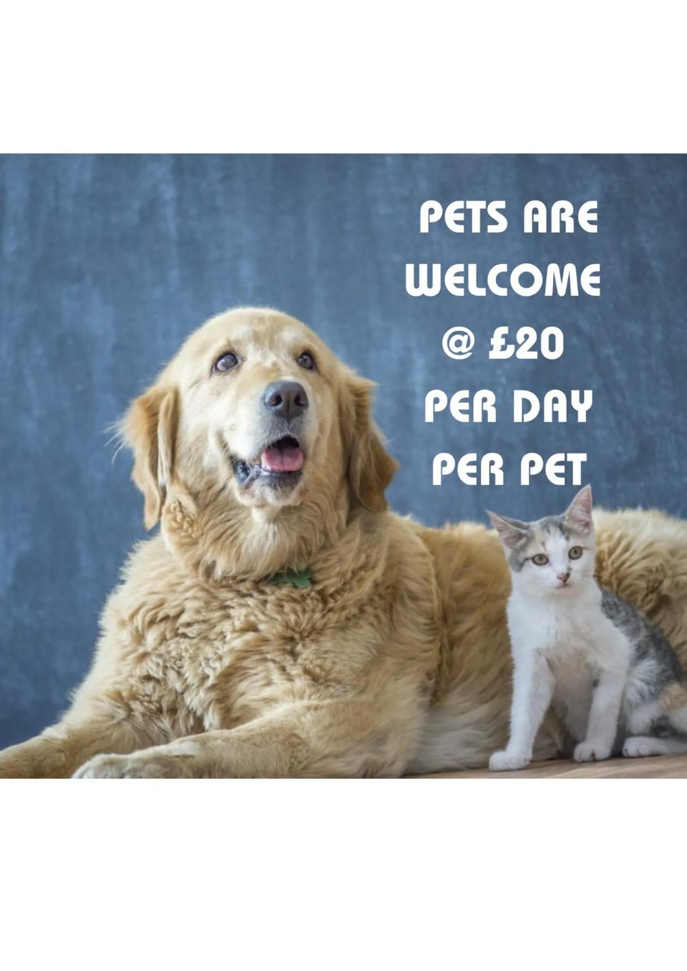 Pets in Novotel Birmingham Centre