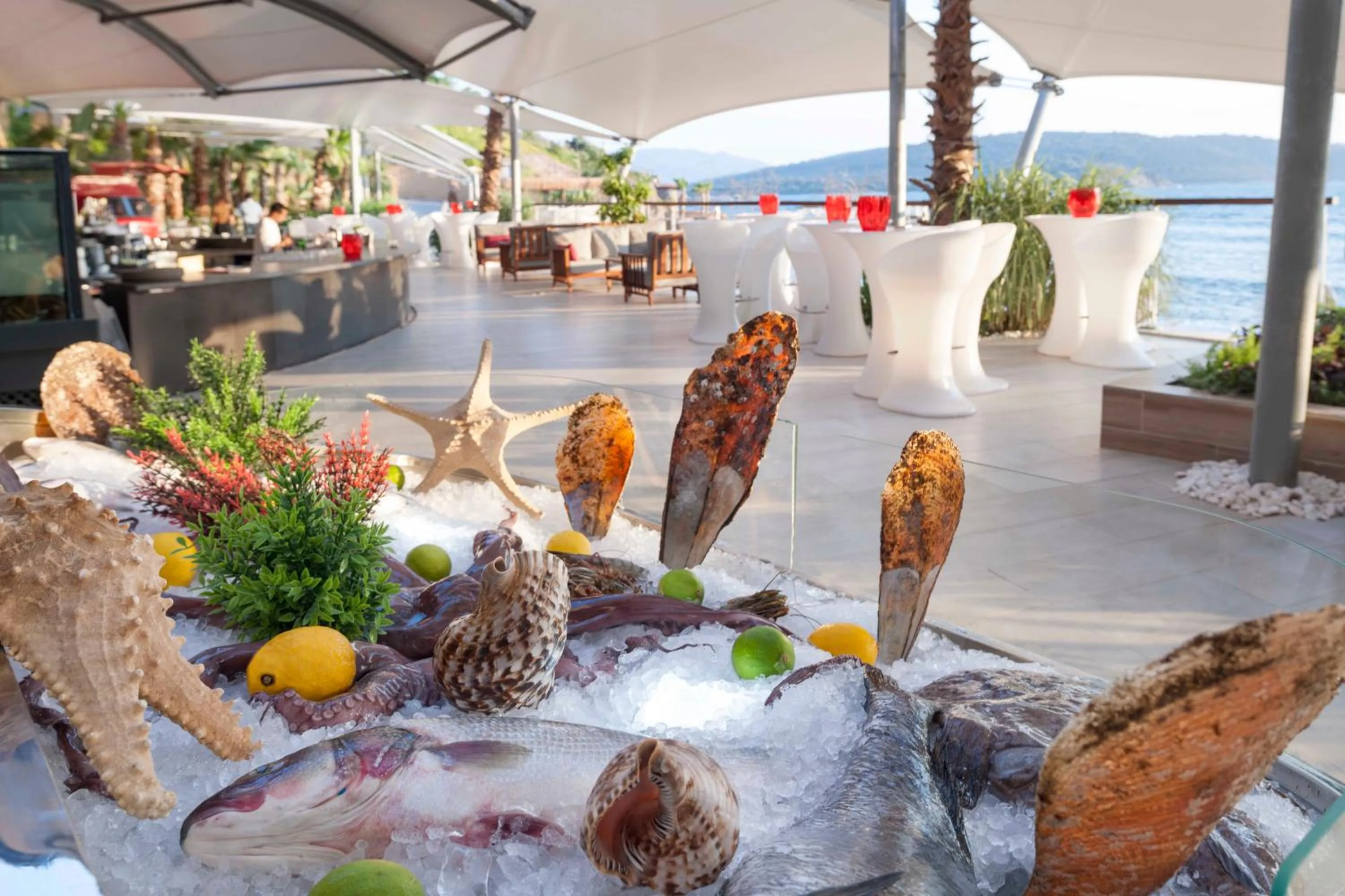 Restaurant/places to eat in Le Meridien Bodrum Beach Resort