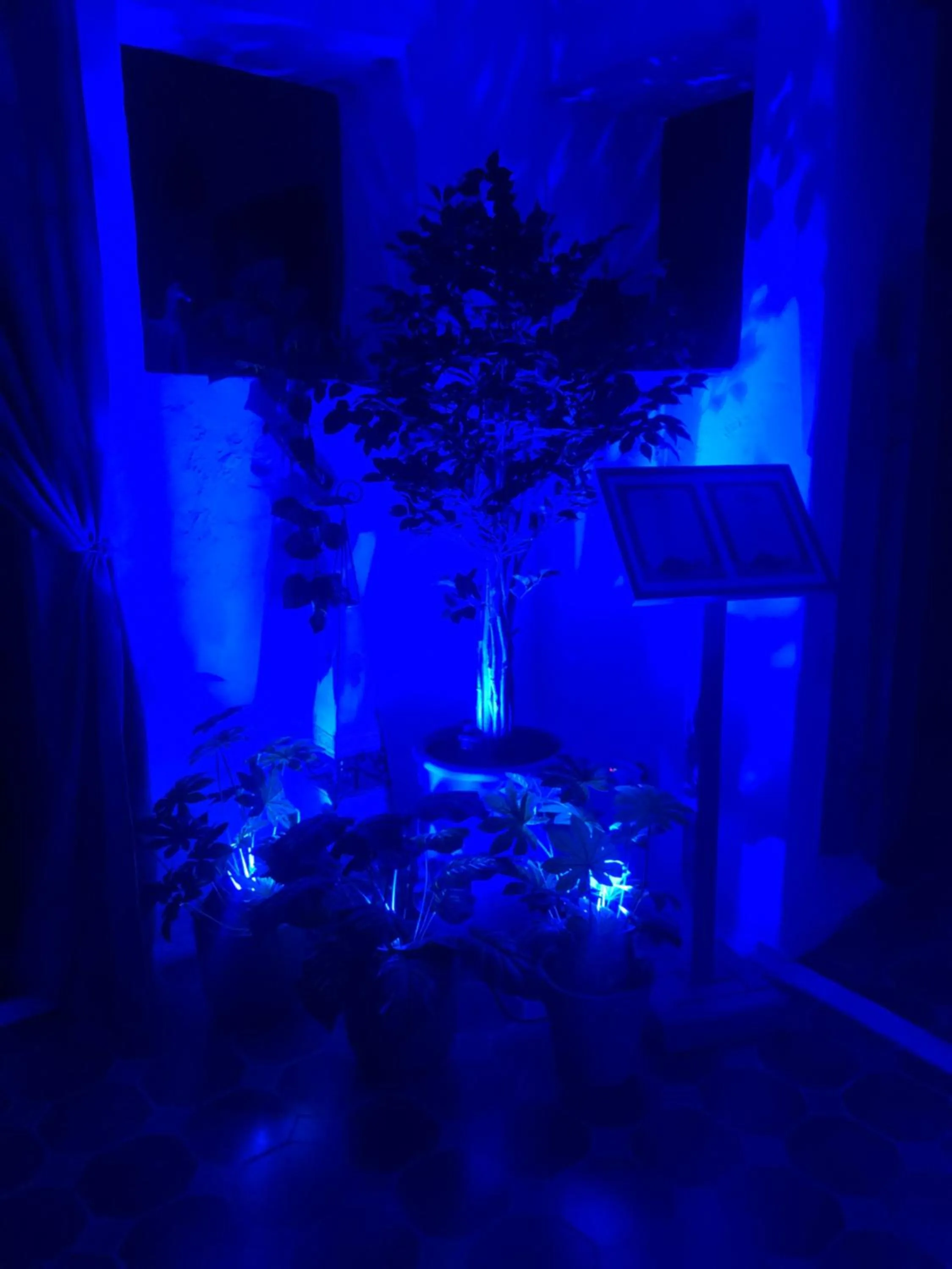 Patio in Riad Gloria