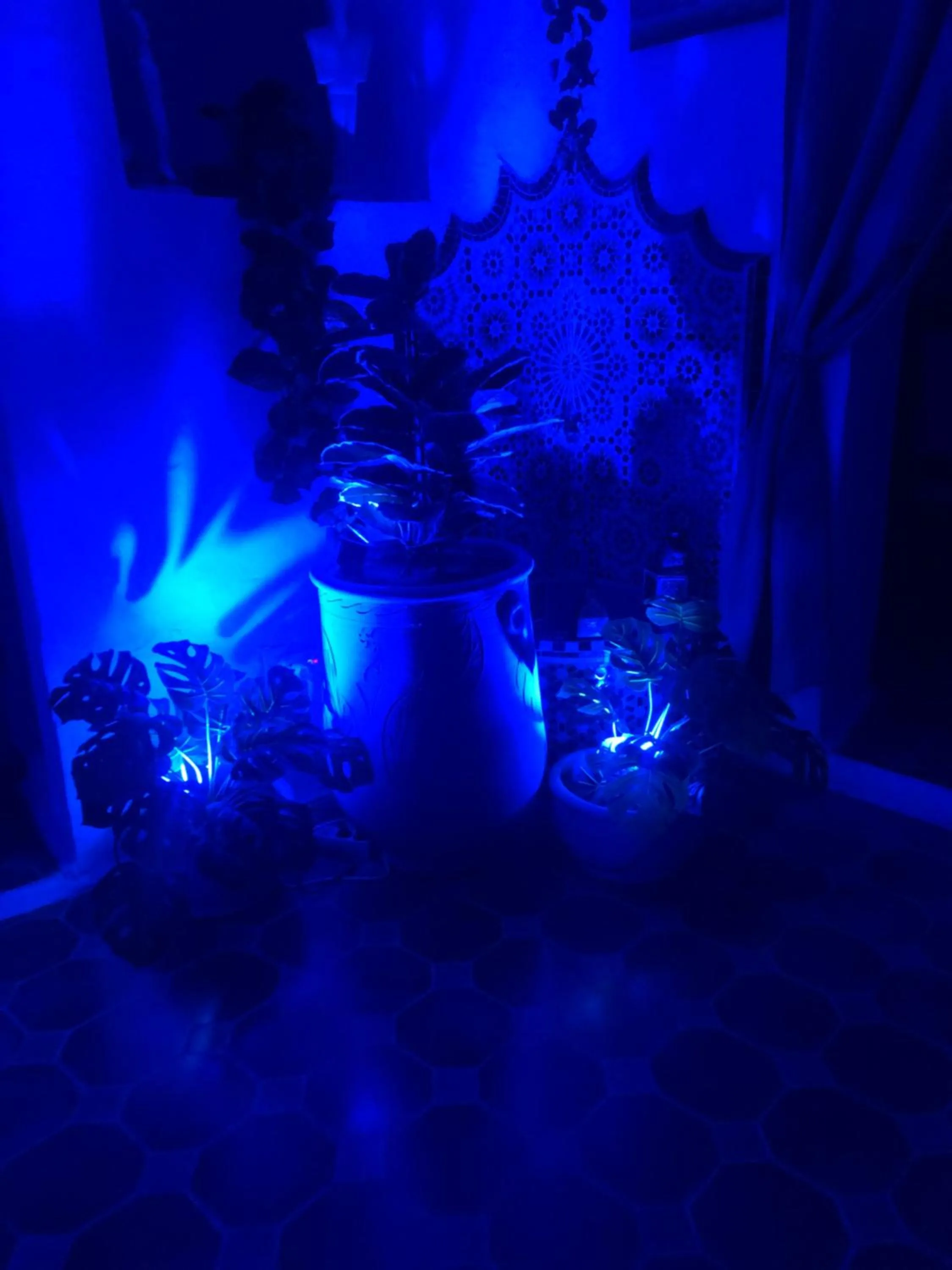 Patio in Riad Gloria