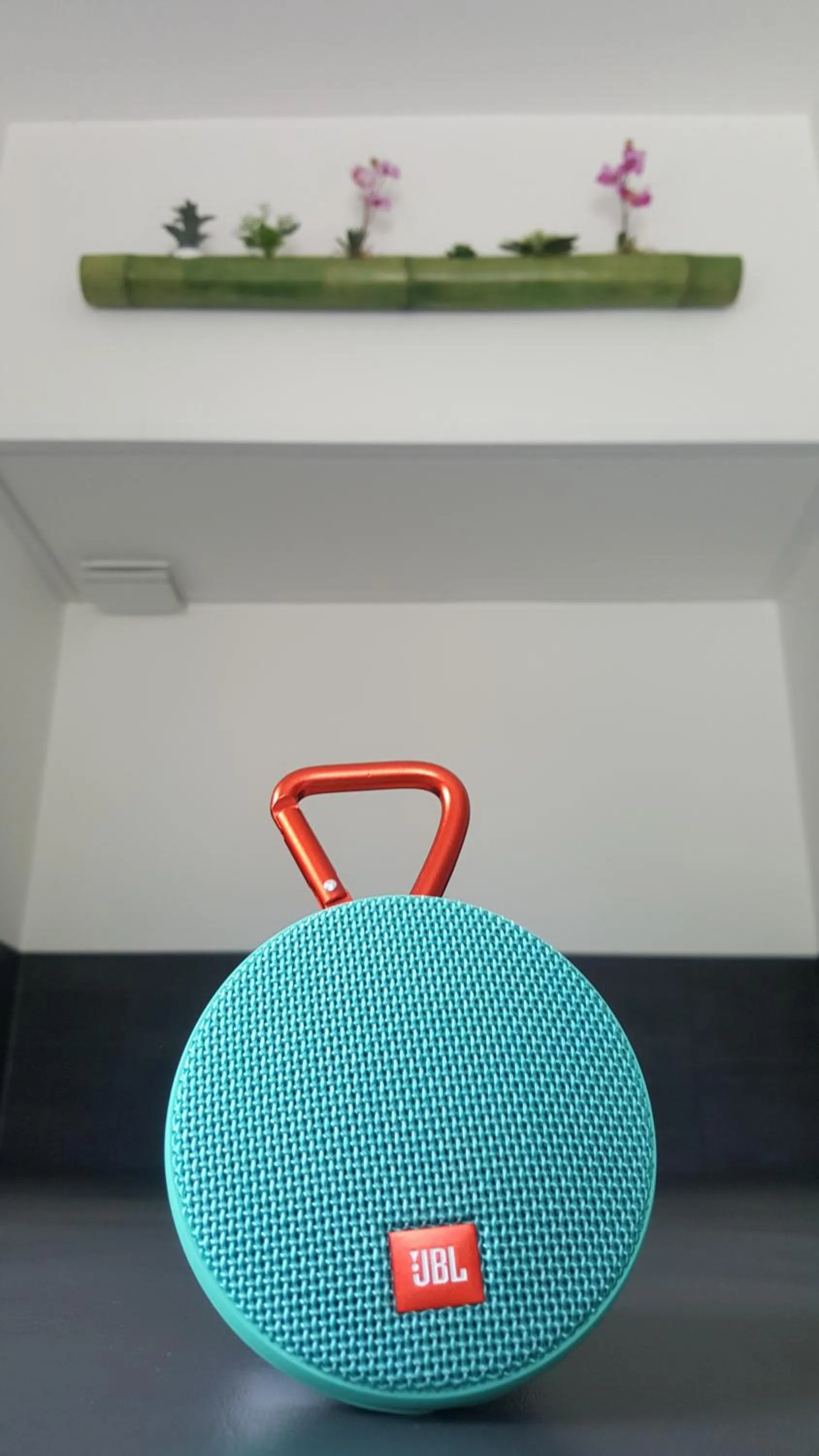 TV and multimedia in Au Charme de Pépiole