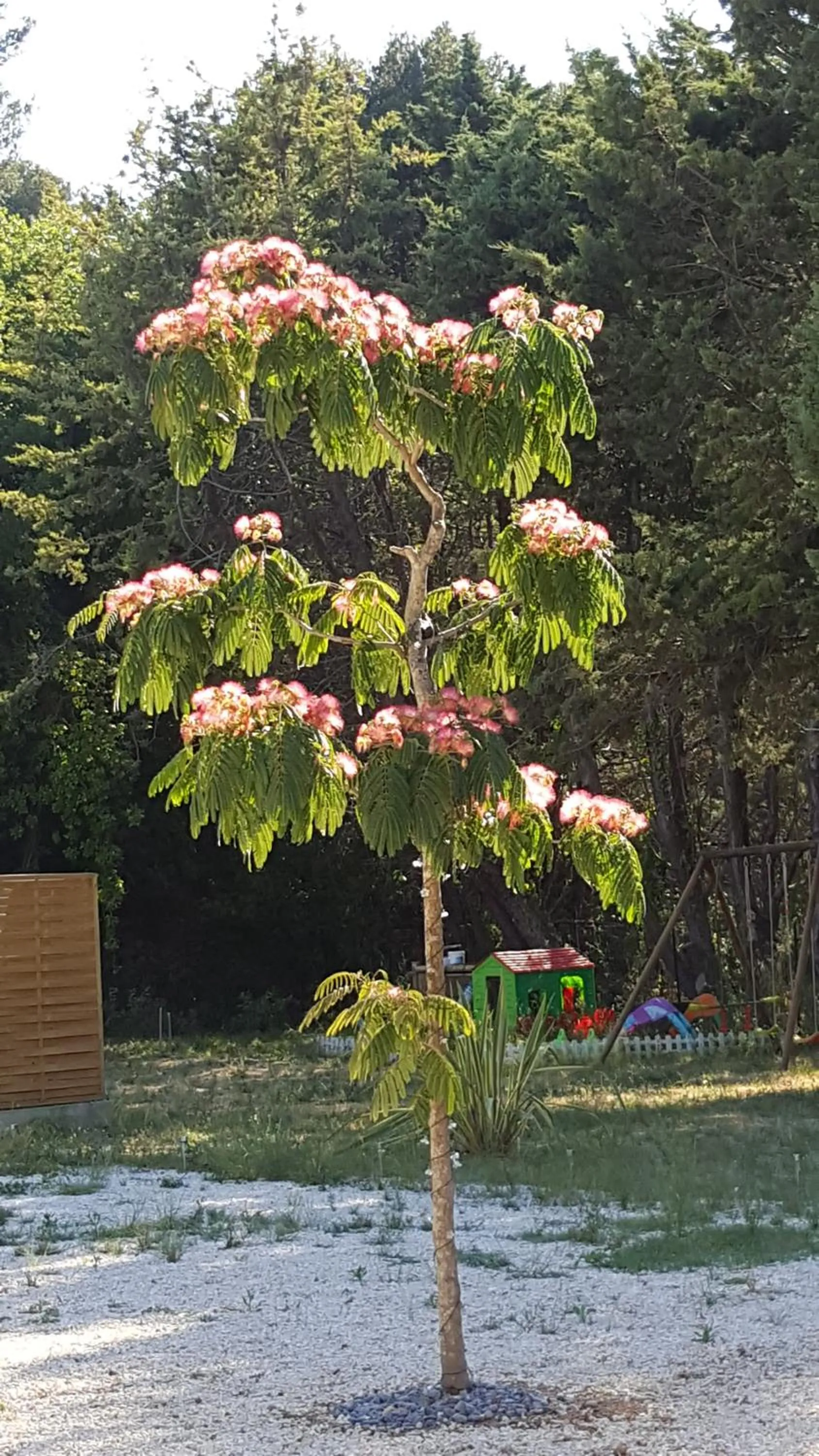 View (from property/room) in Au Charme de Pépiole