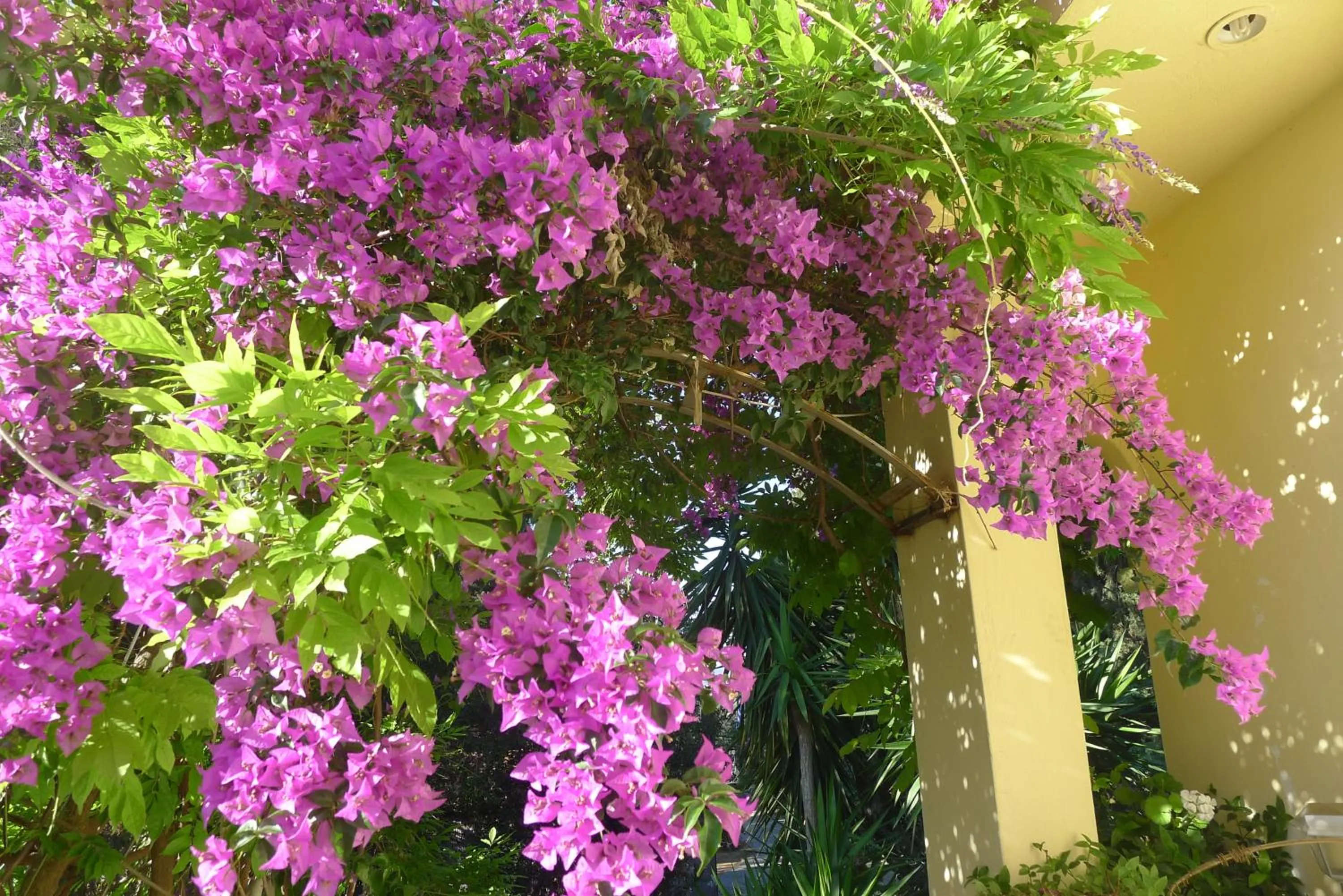 Other in St. Thomas Bed and Breakfast