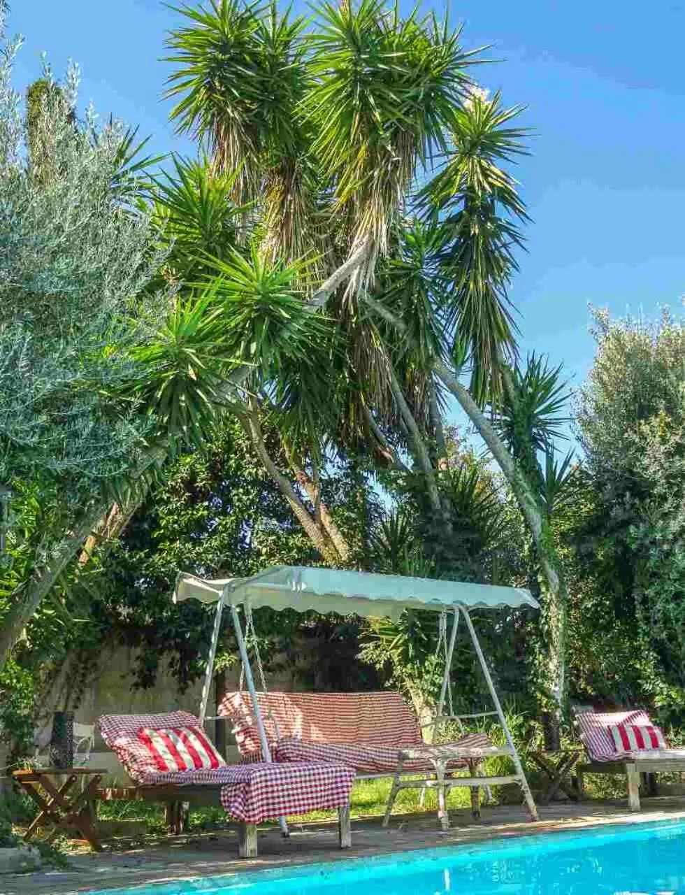 Garden in St. Thomas Bed and Breakfast