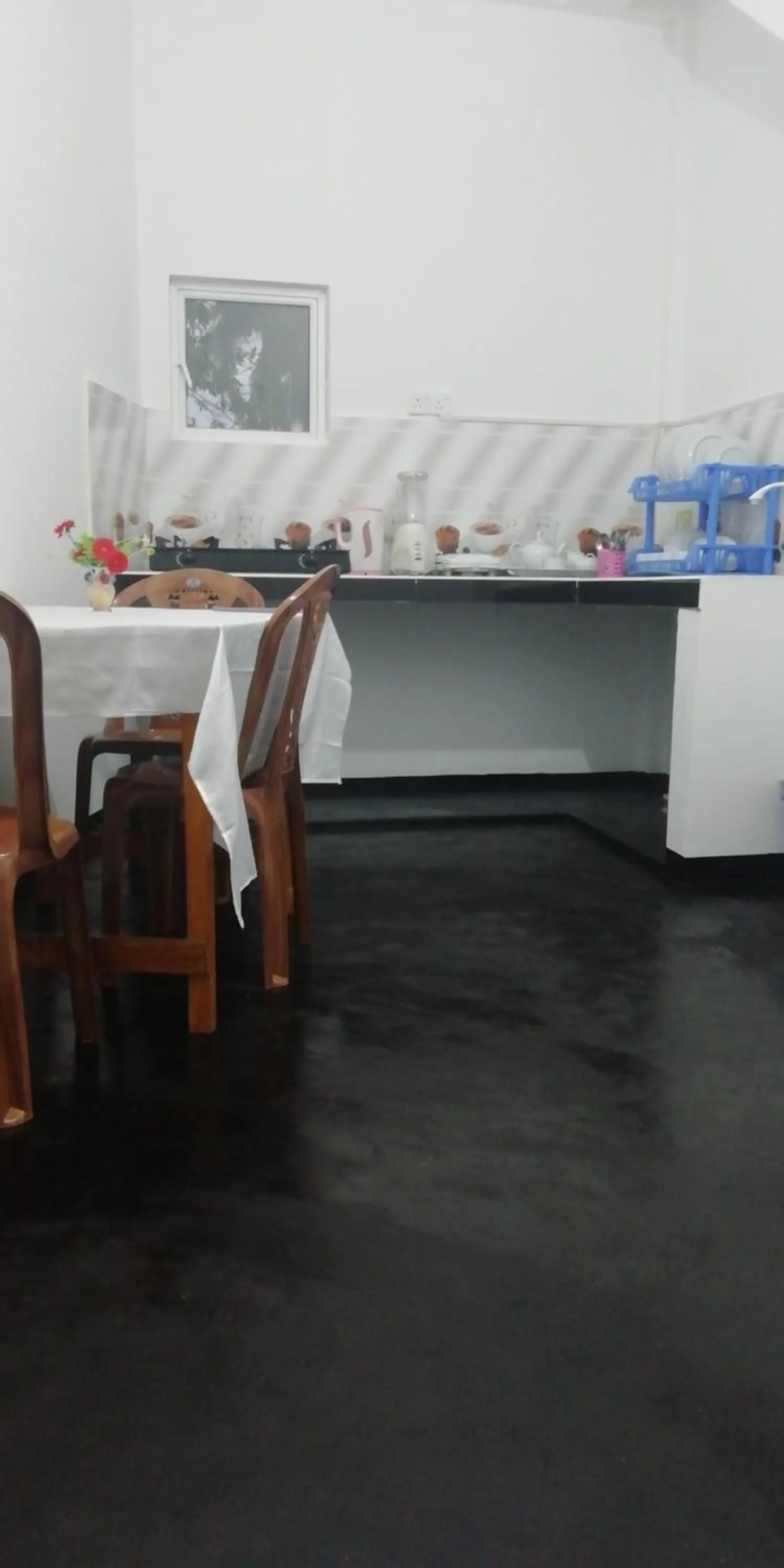 Sandu Guest