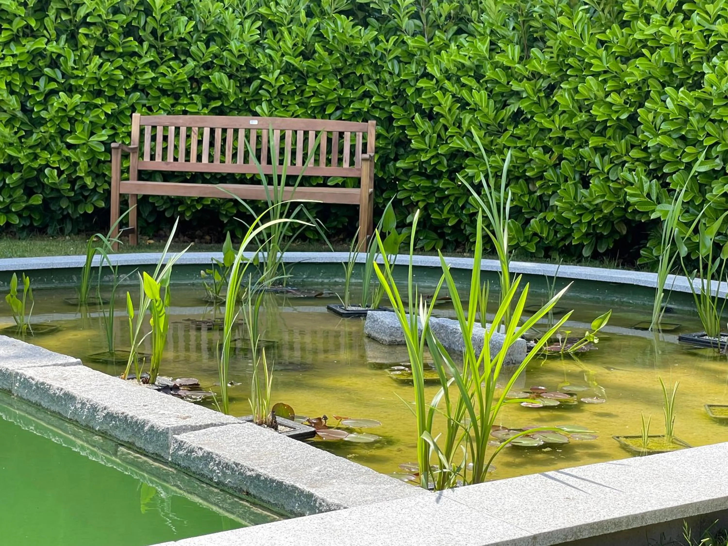 Garden in dS Hotel Gronau