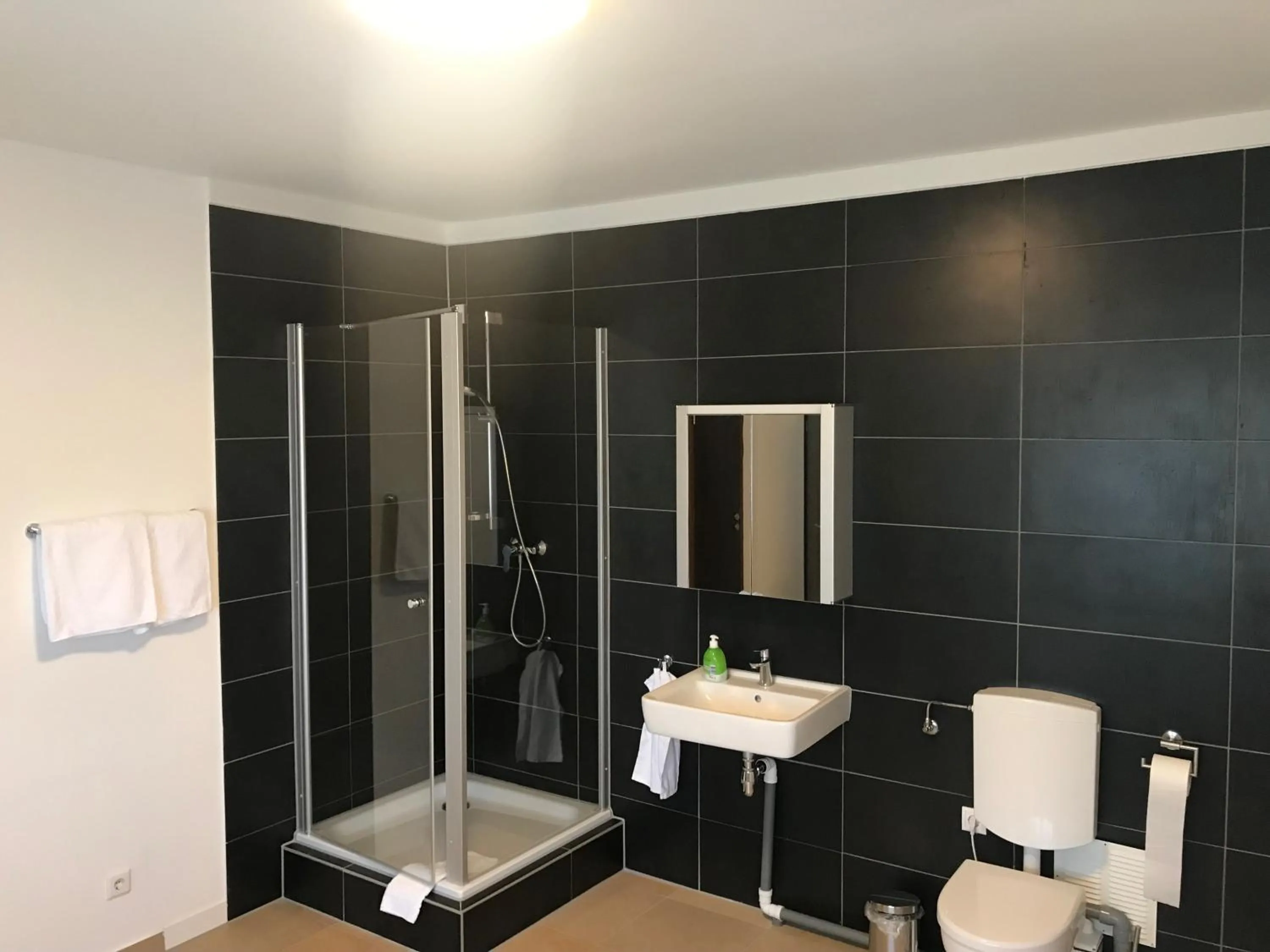 Toilet in dS Hotel Gronau