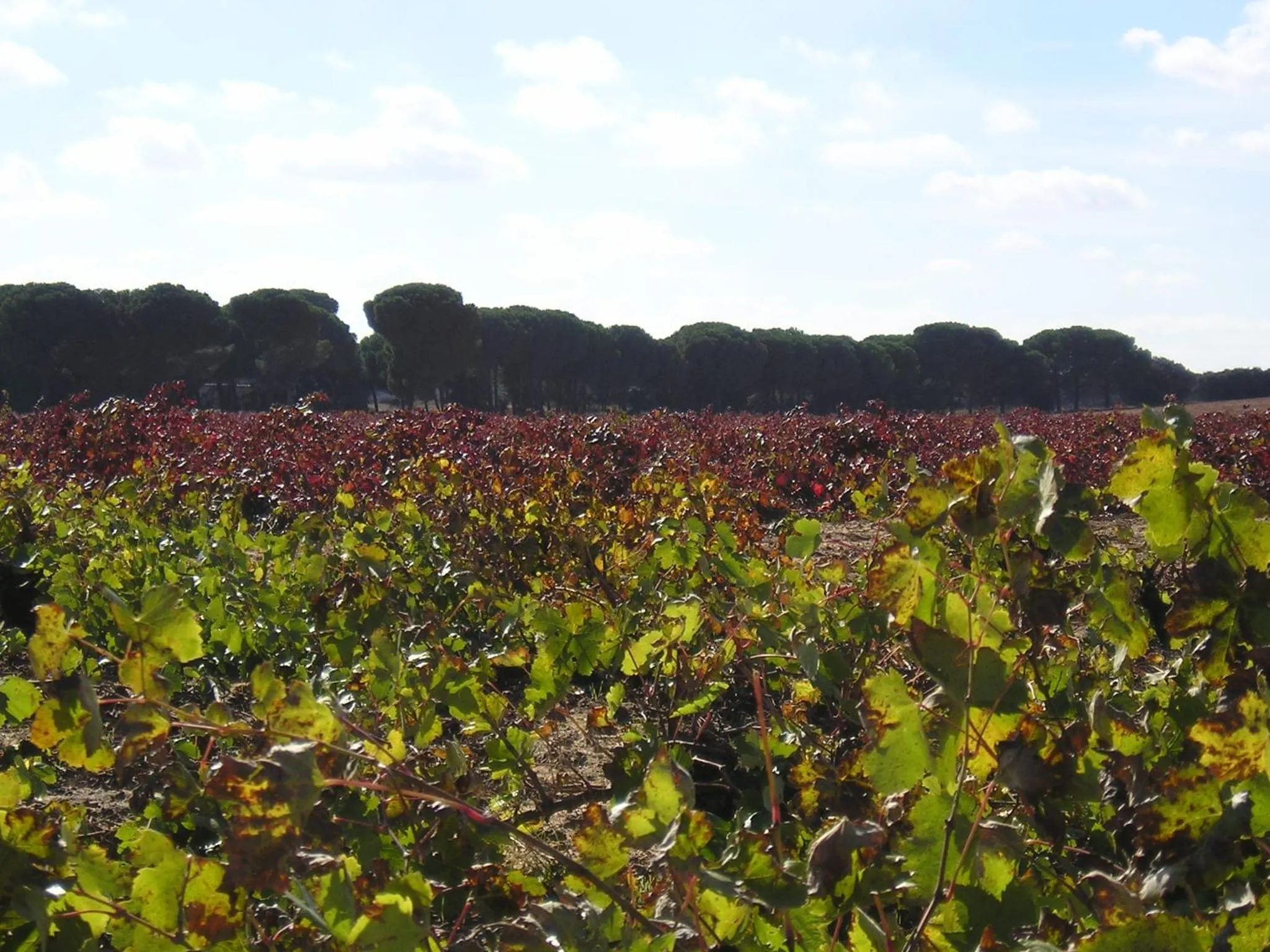 Natural landscape in Casa Rural La Navarra