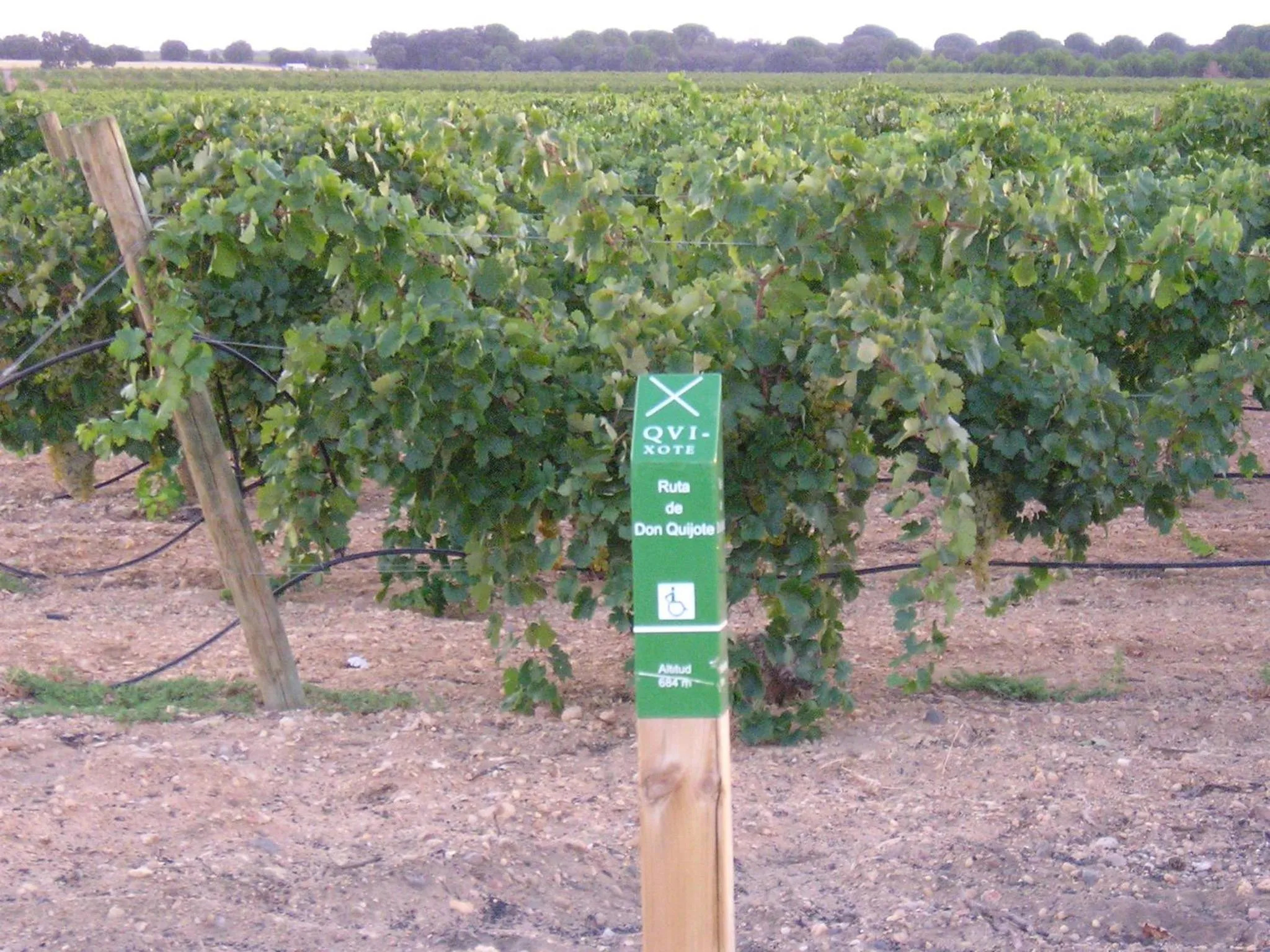 Natural landscape in Casa Rural La Navarra