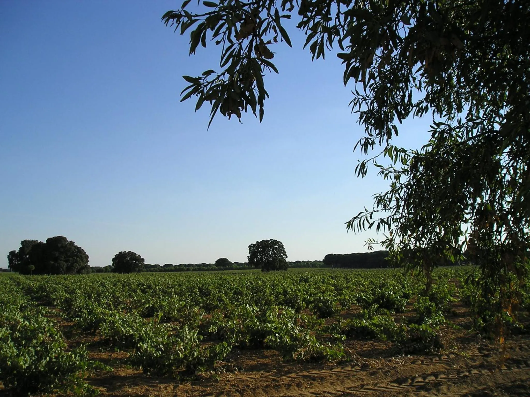 Natural landscape in Casa Rural La Navarra