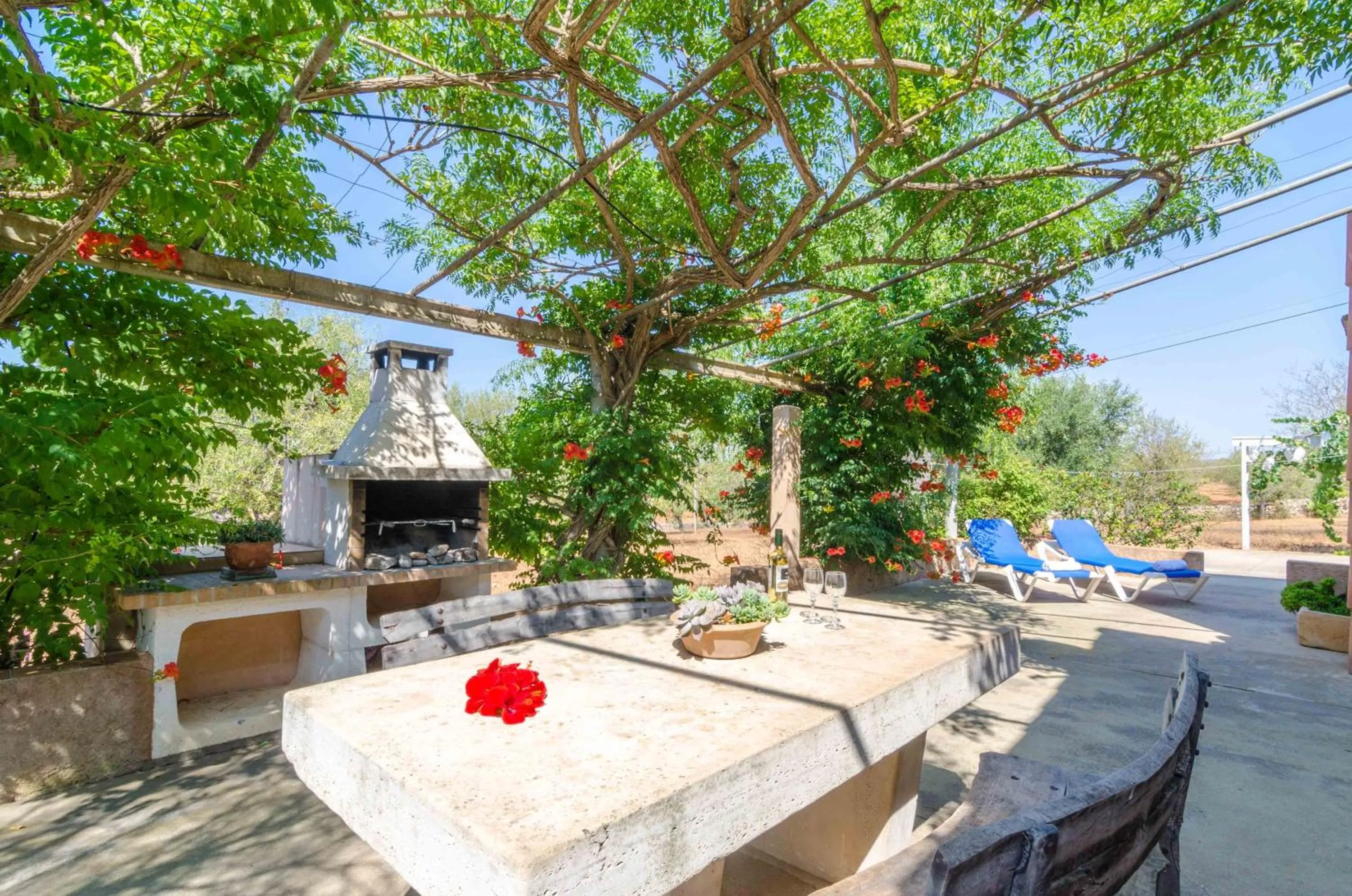 BBQ facilities in Cas General