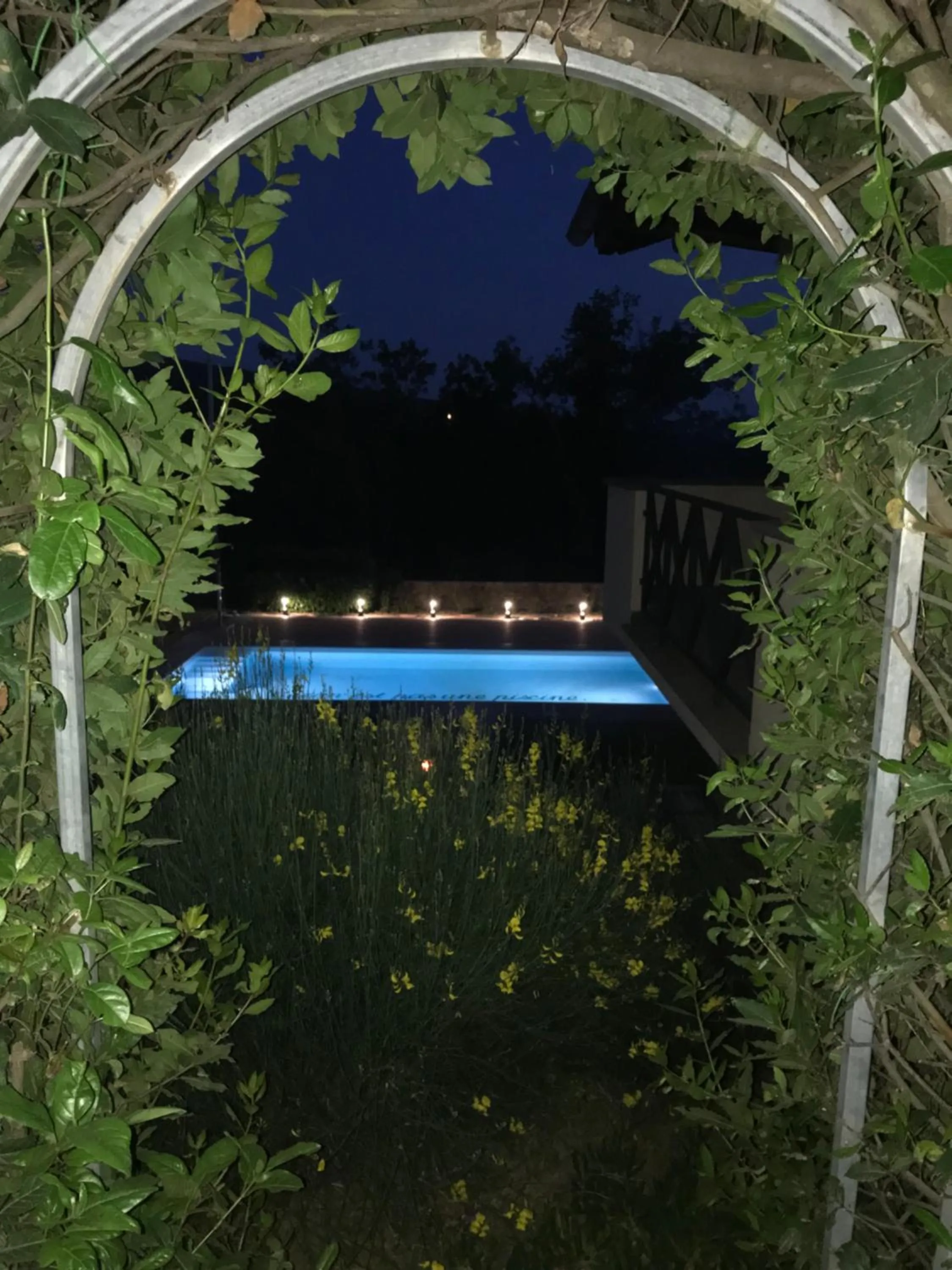 Swimming pool in La Paloma B&B di Charme