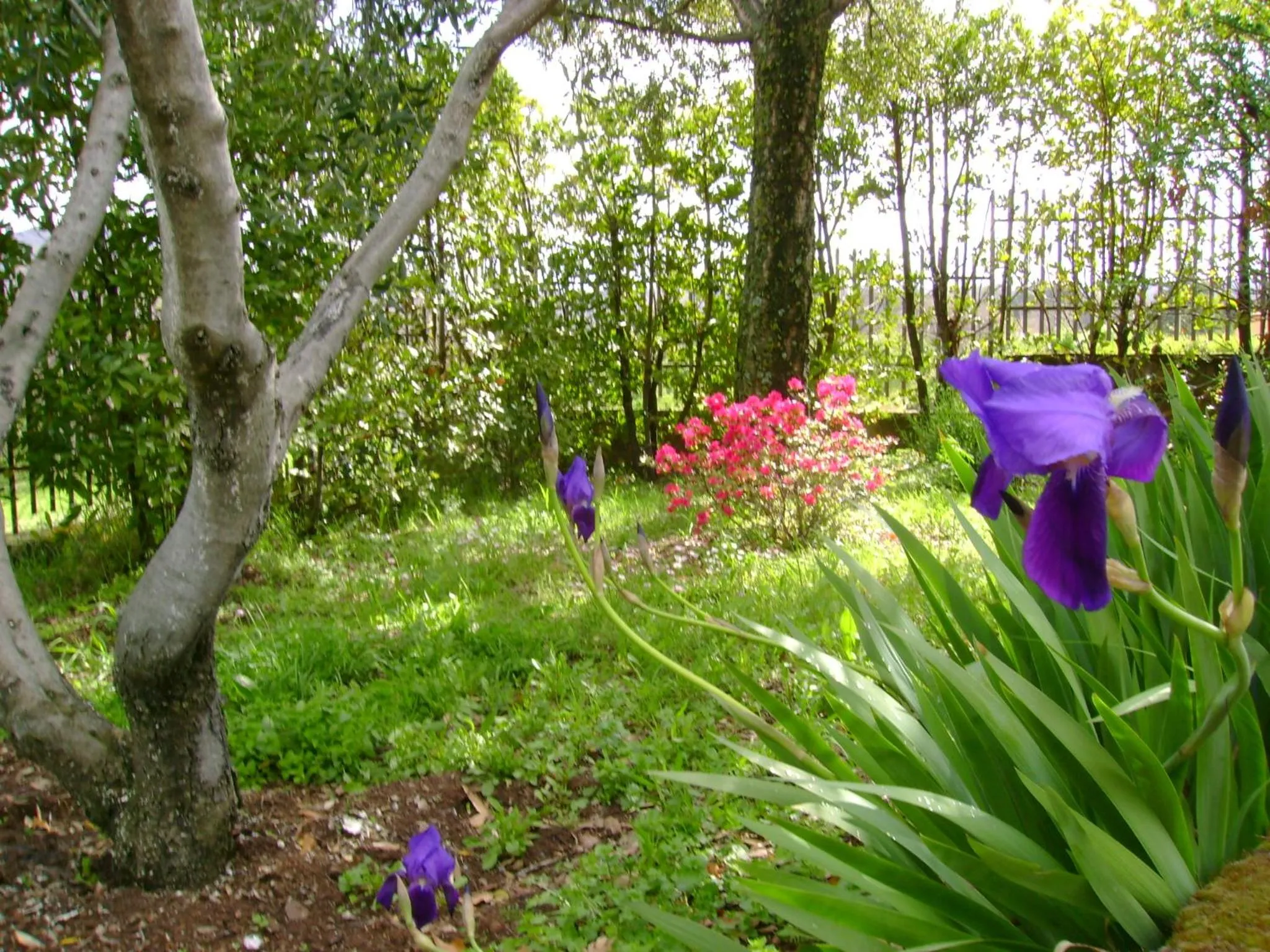 Garden in La Paloma B&B di Charme