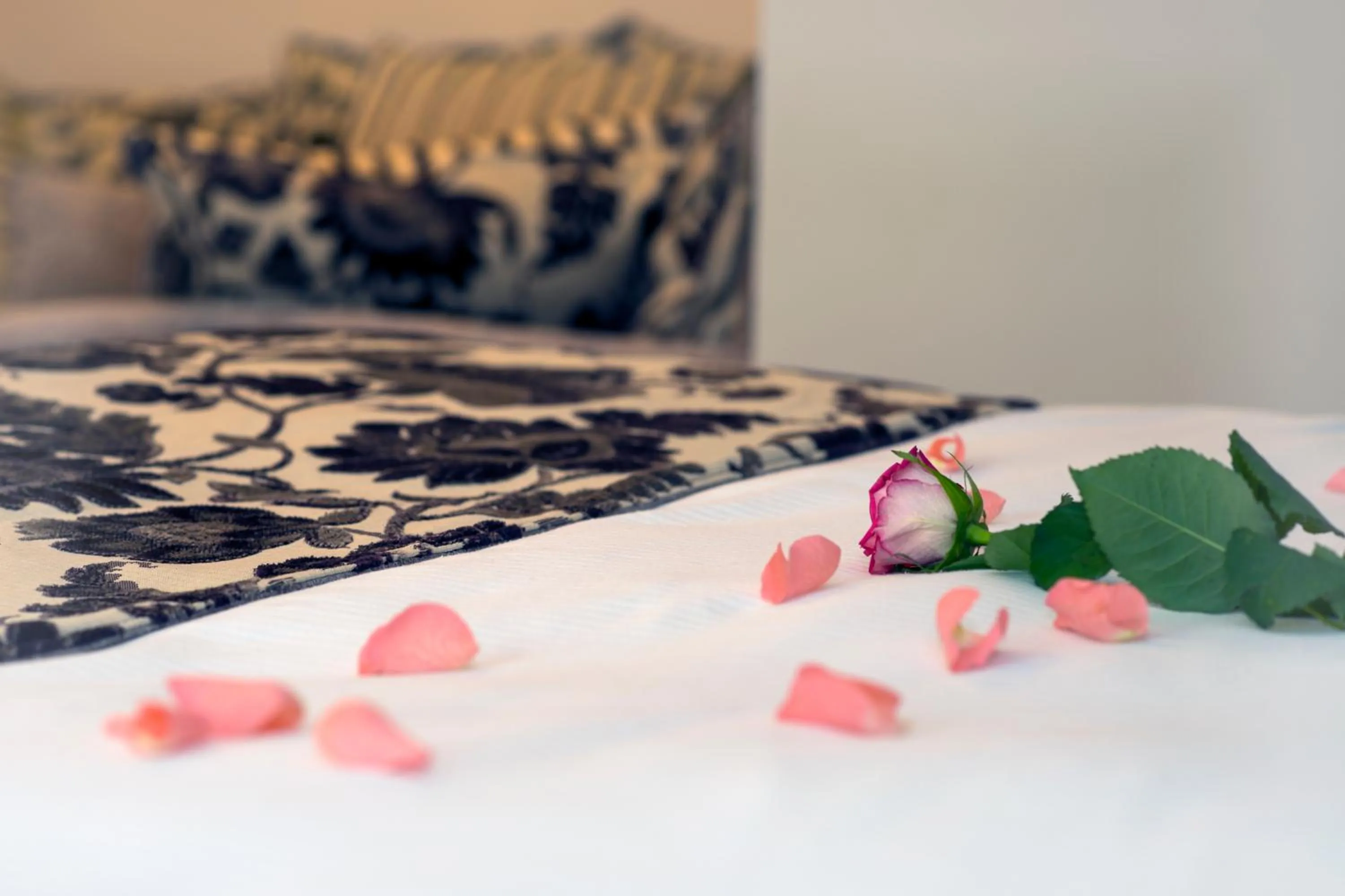 Bed in Treacys West County Conference and Leisure Centre