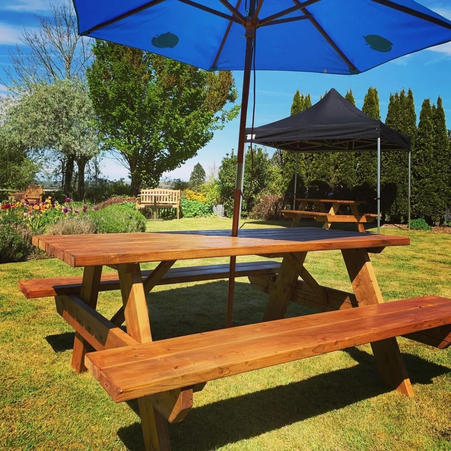 Garden in The Inn at Dromoland