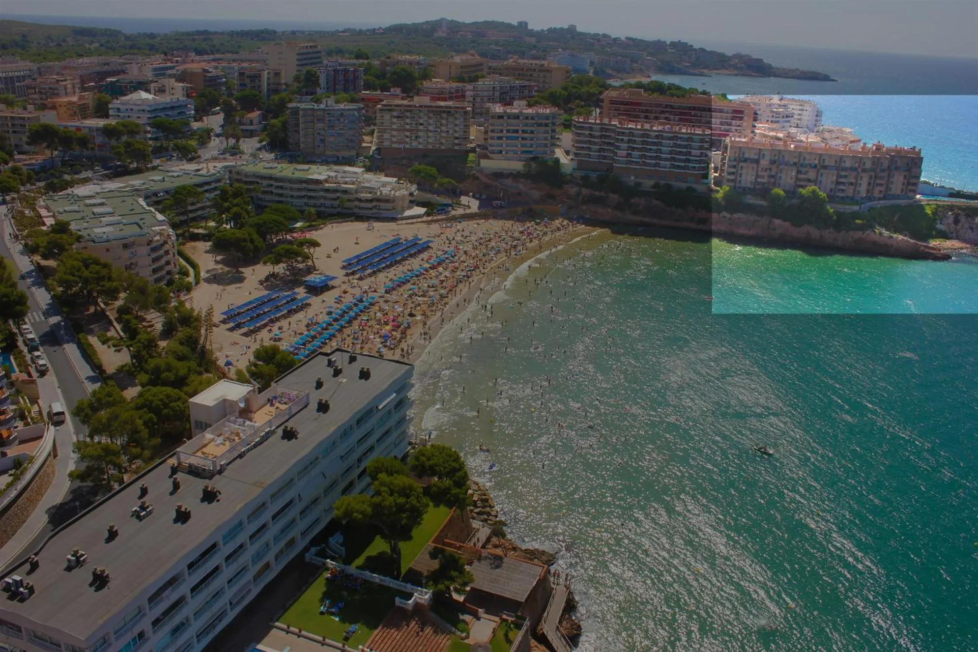 Other in LITORAL COSTA DORADA - MARGON Only families