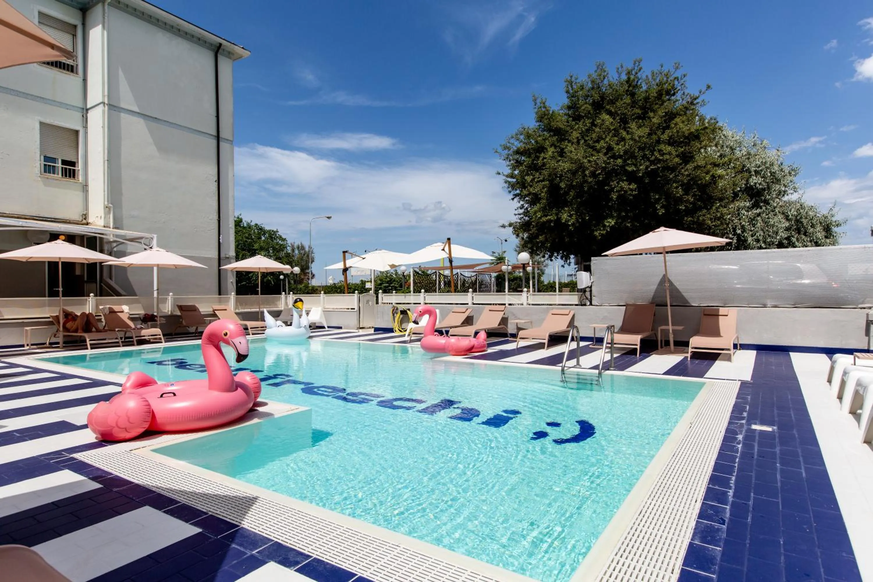 Pool view in Hotel Belvedere Rimini