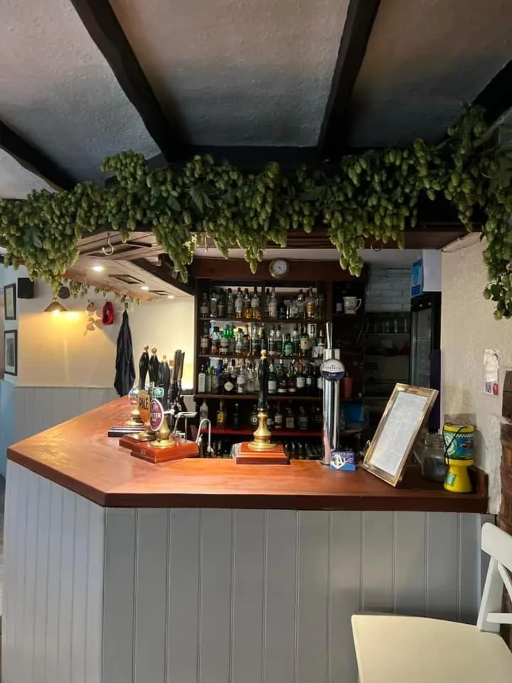 Lounge or bar in Anchor Inn