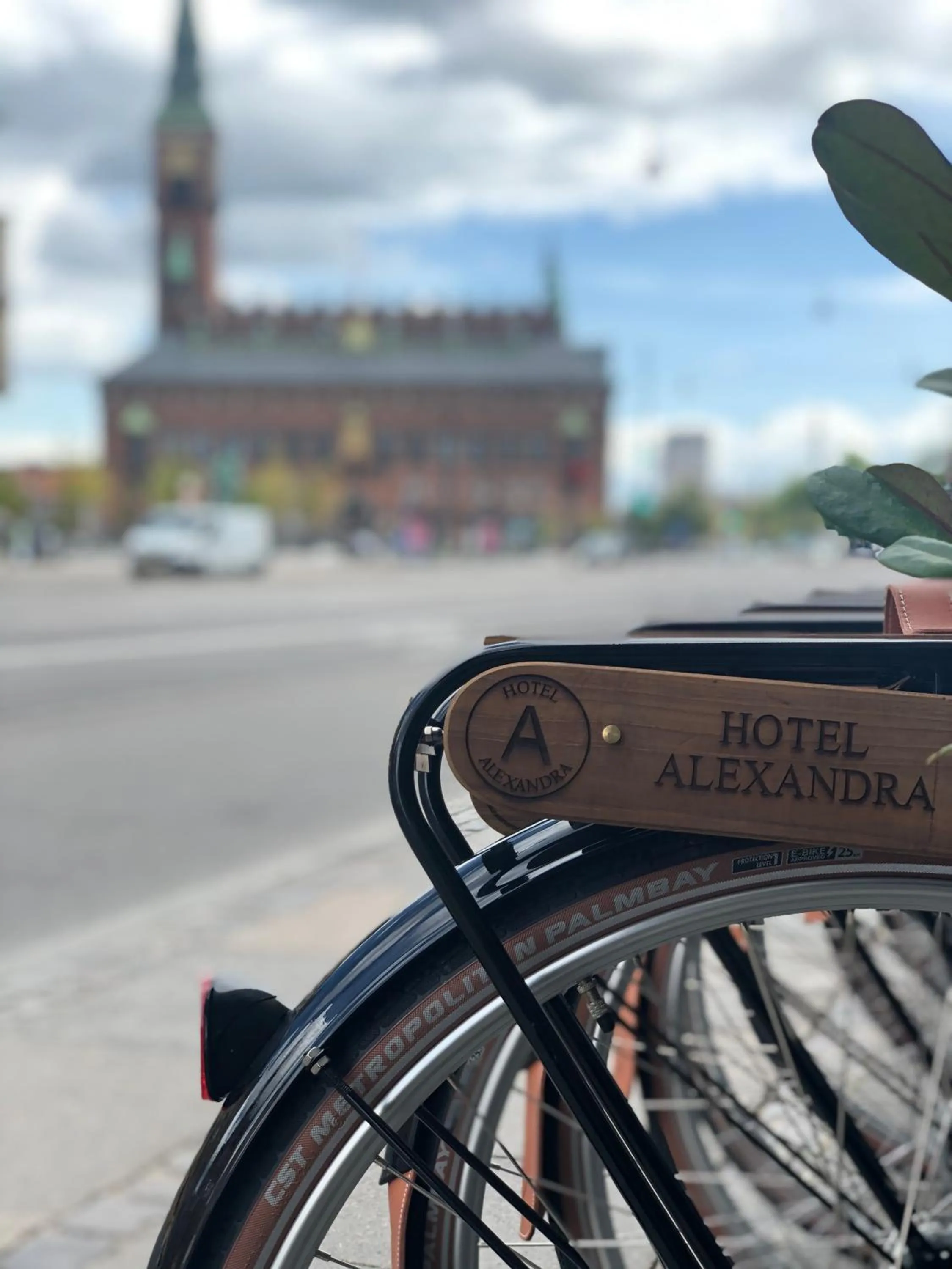 Facade/entrance in Hotel Alexandra
