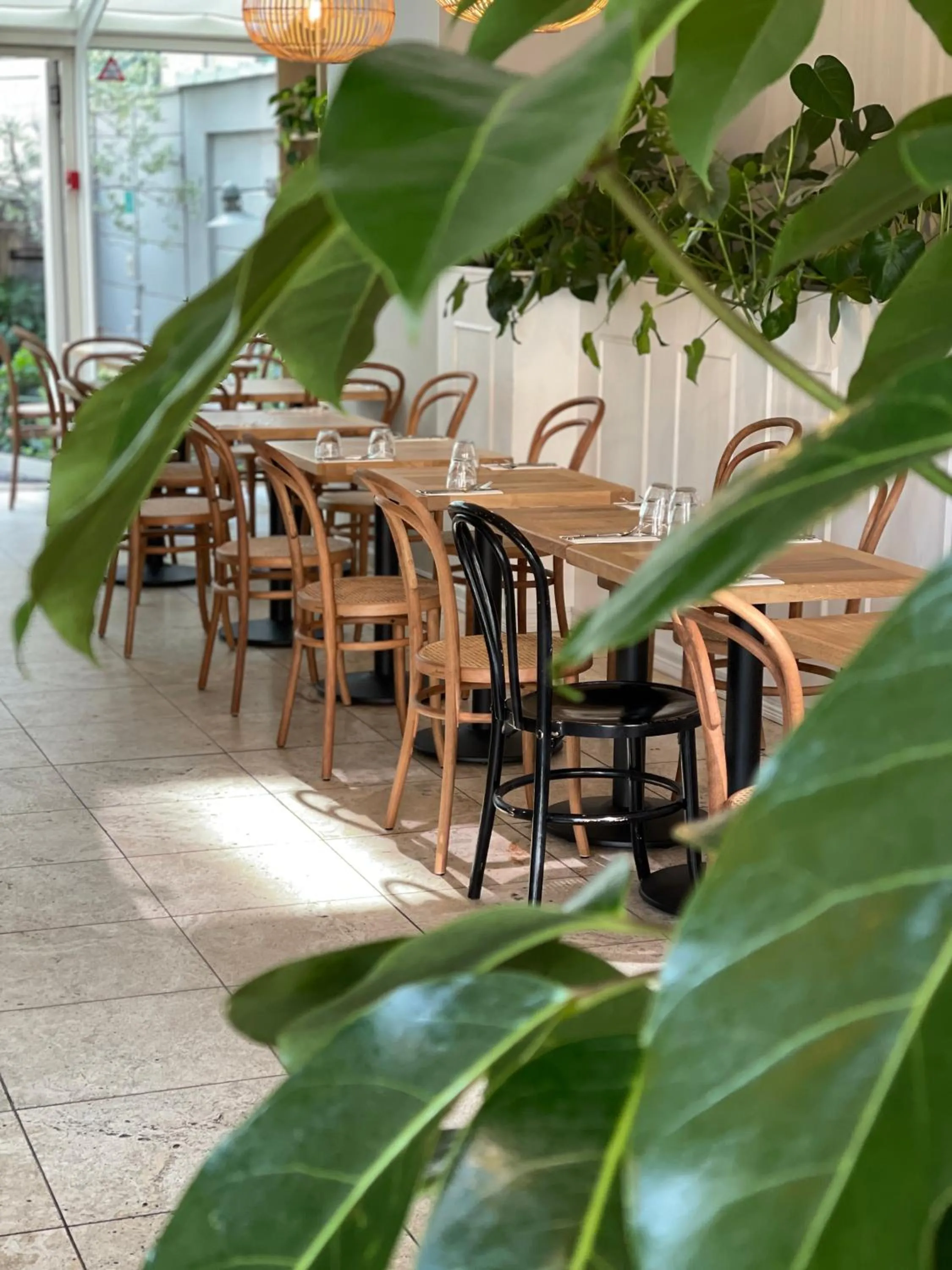 Restaurant/places to eat in Hotel Alexandra