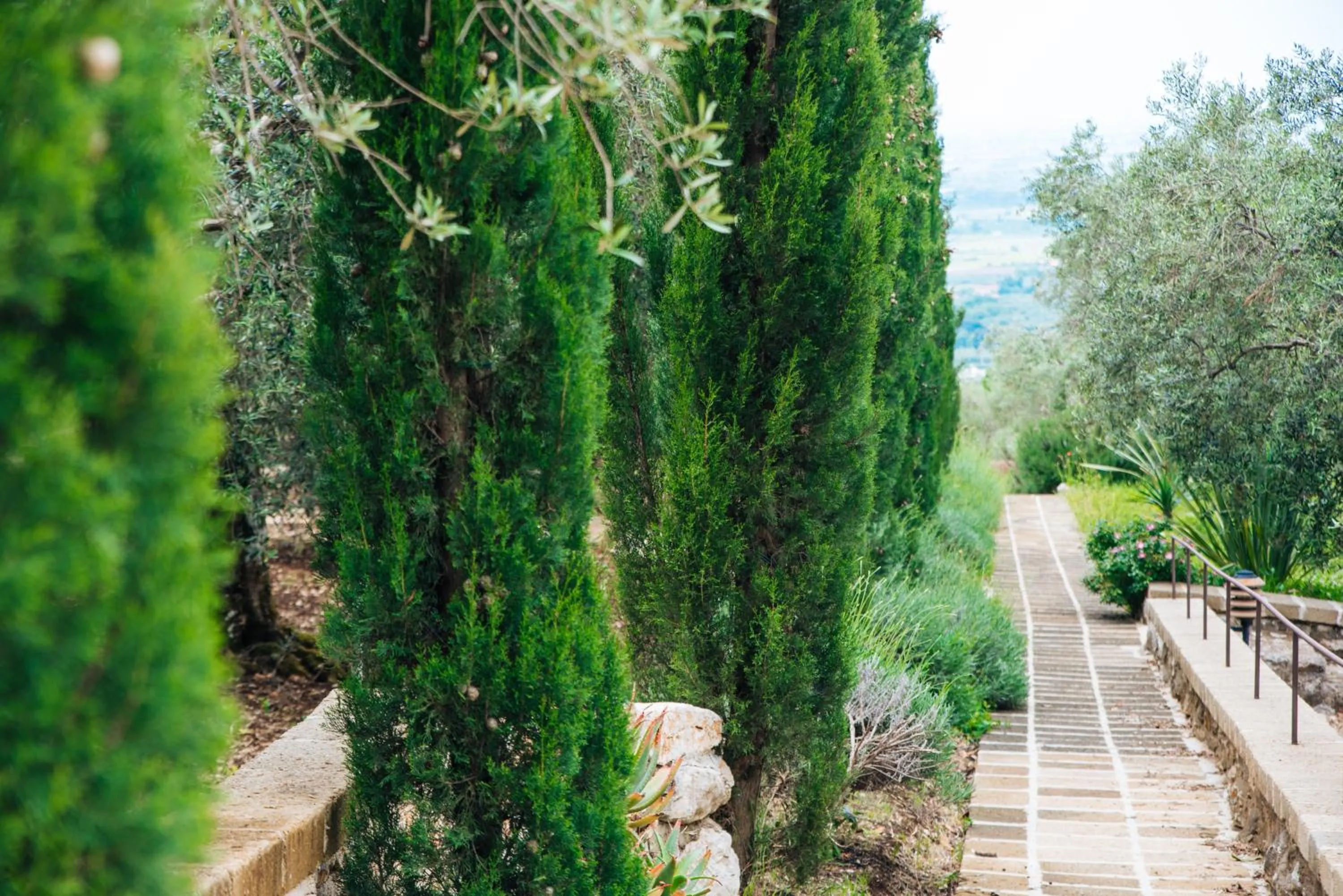 Garden in Agriturismo Castello Santa Margherita