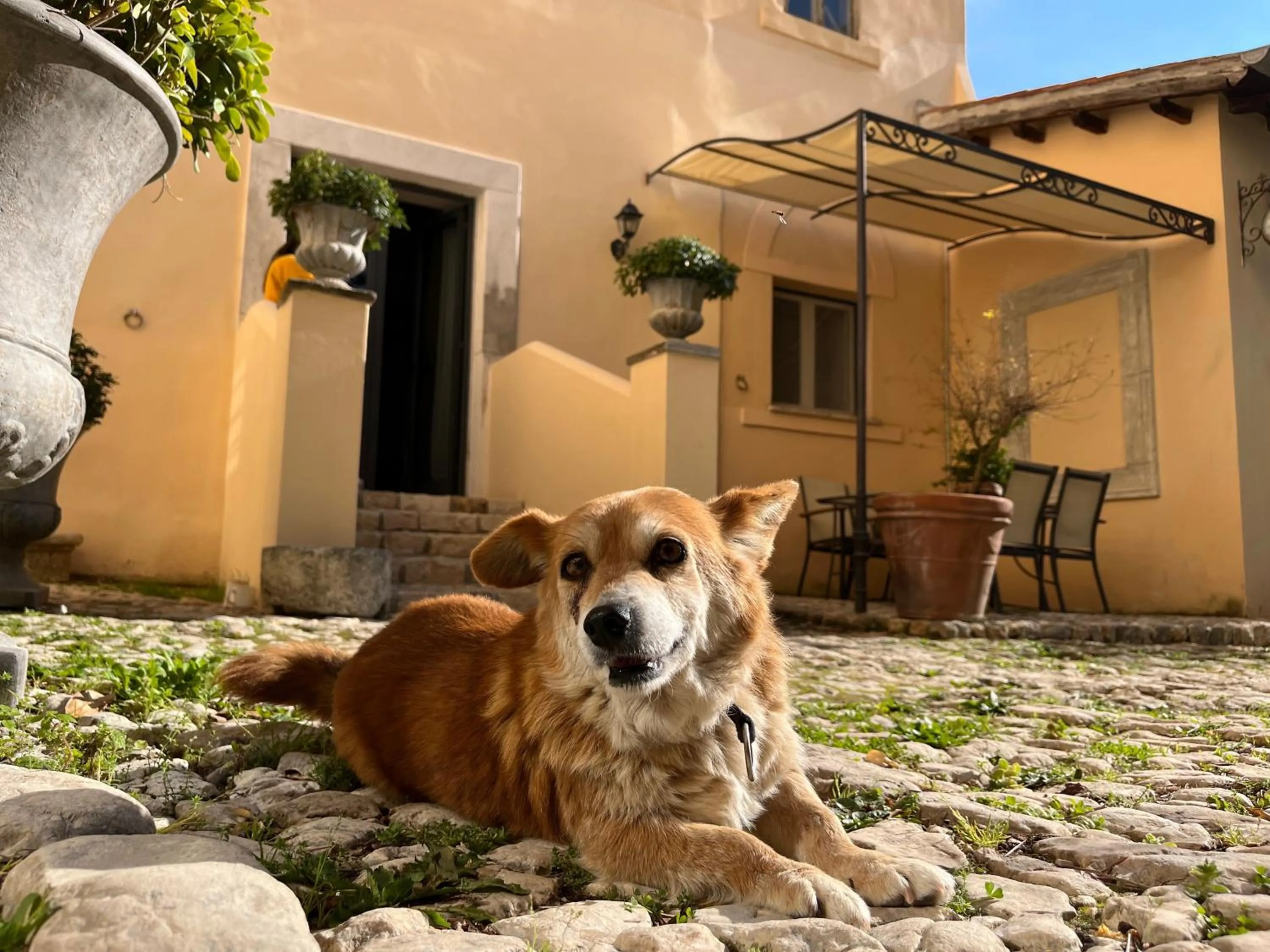 Property building in Agriturismo Castello Santa Margherita