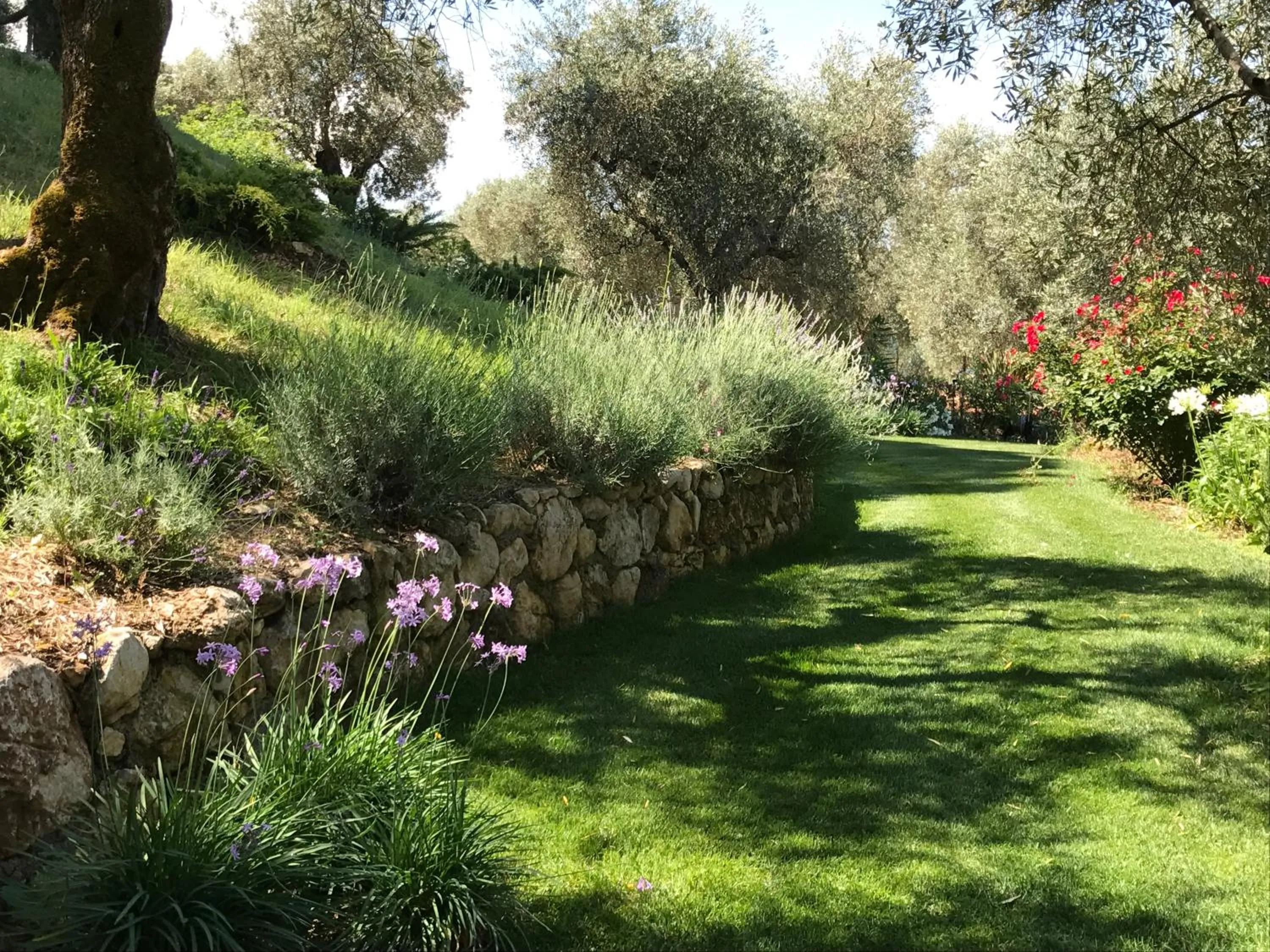 Garden in Agriturismo Castello Santa Margherita
