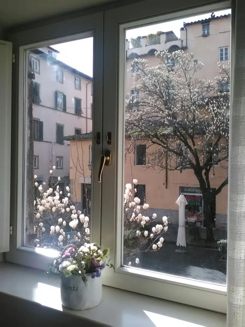 City view in Suite Sofia