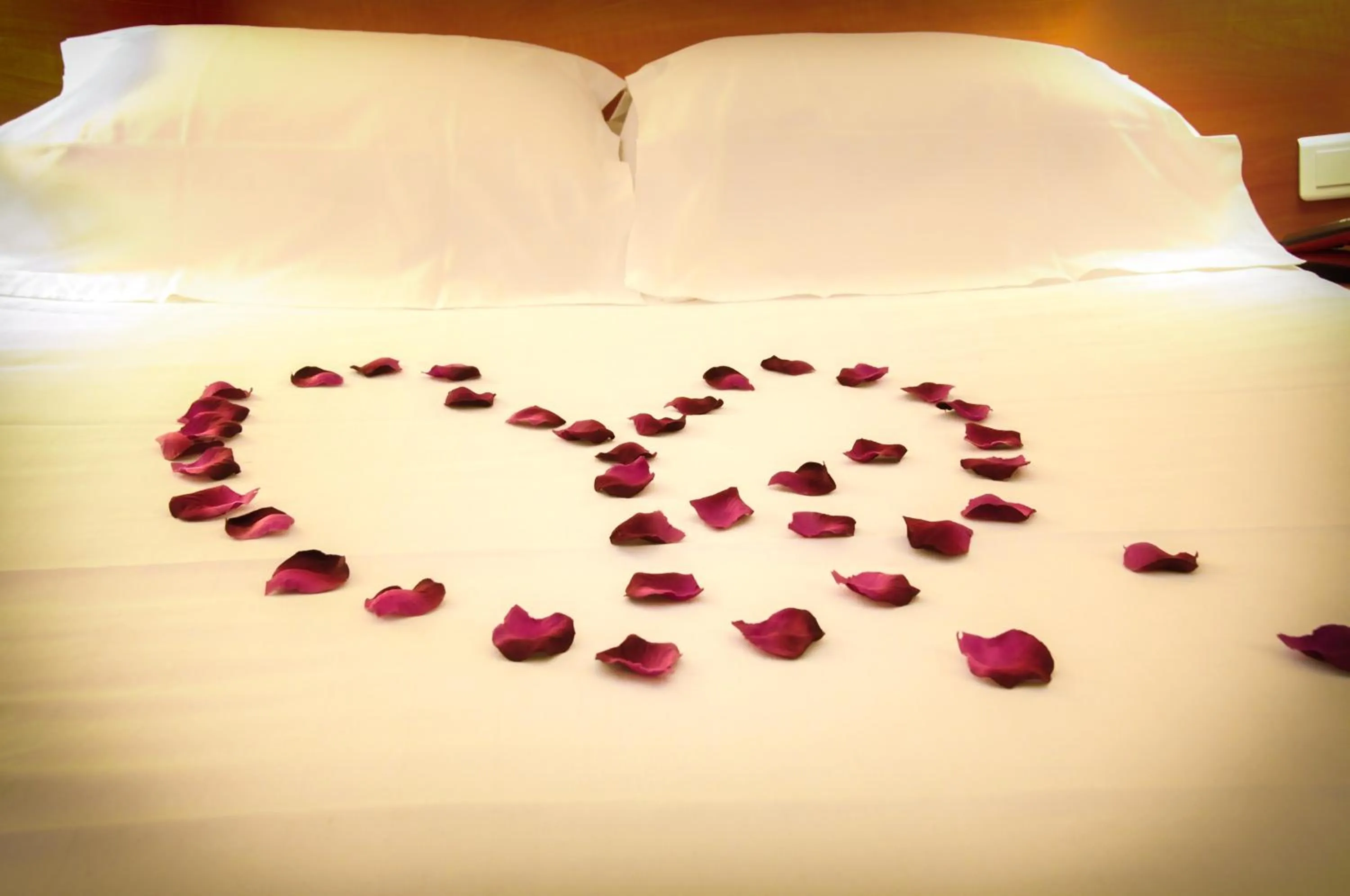 Decorative detail, Bed in Hotel Eden Montmartre