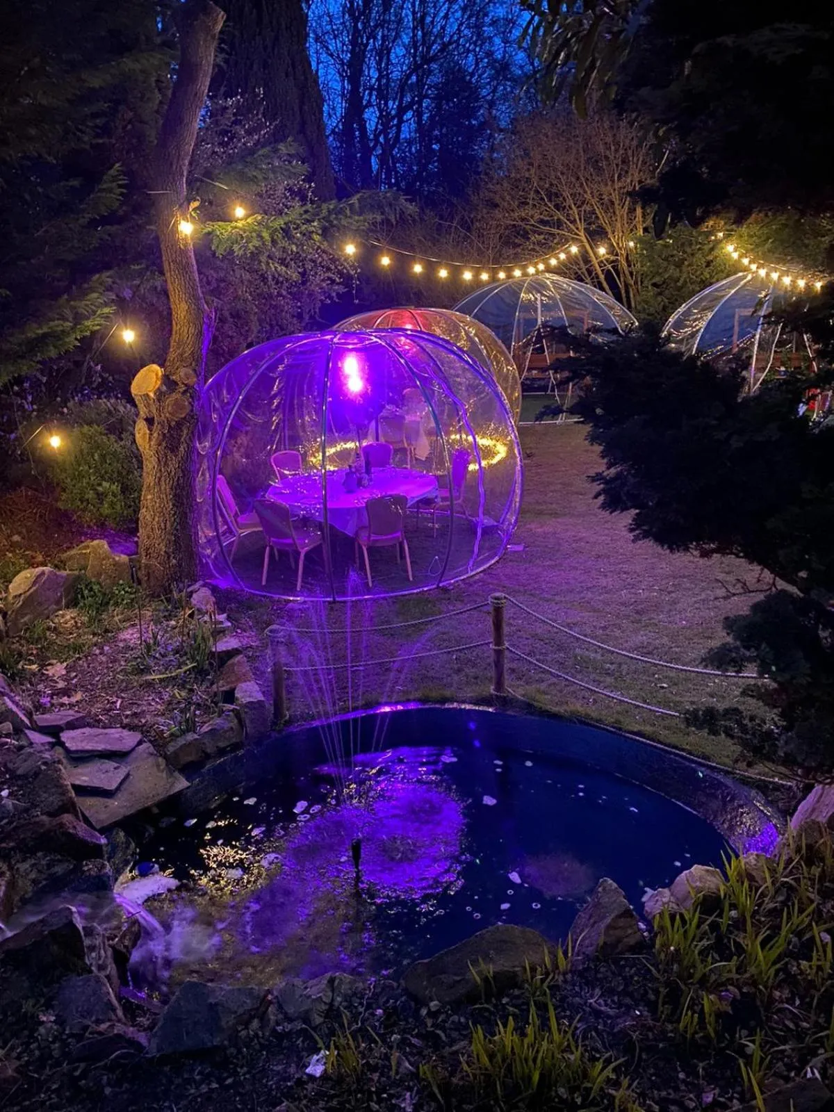 Restaurant/places to eat, Swimming Pool in The Casa Hotel and Marco Pierre White Restaurant - Camberley West