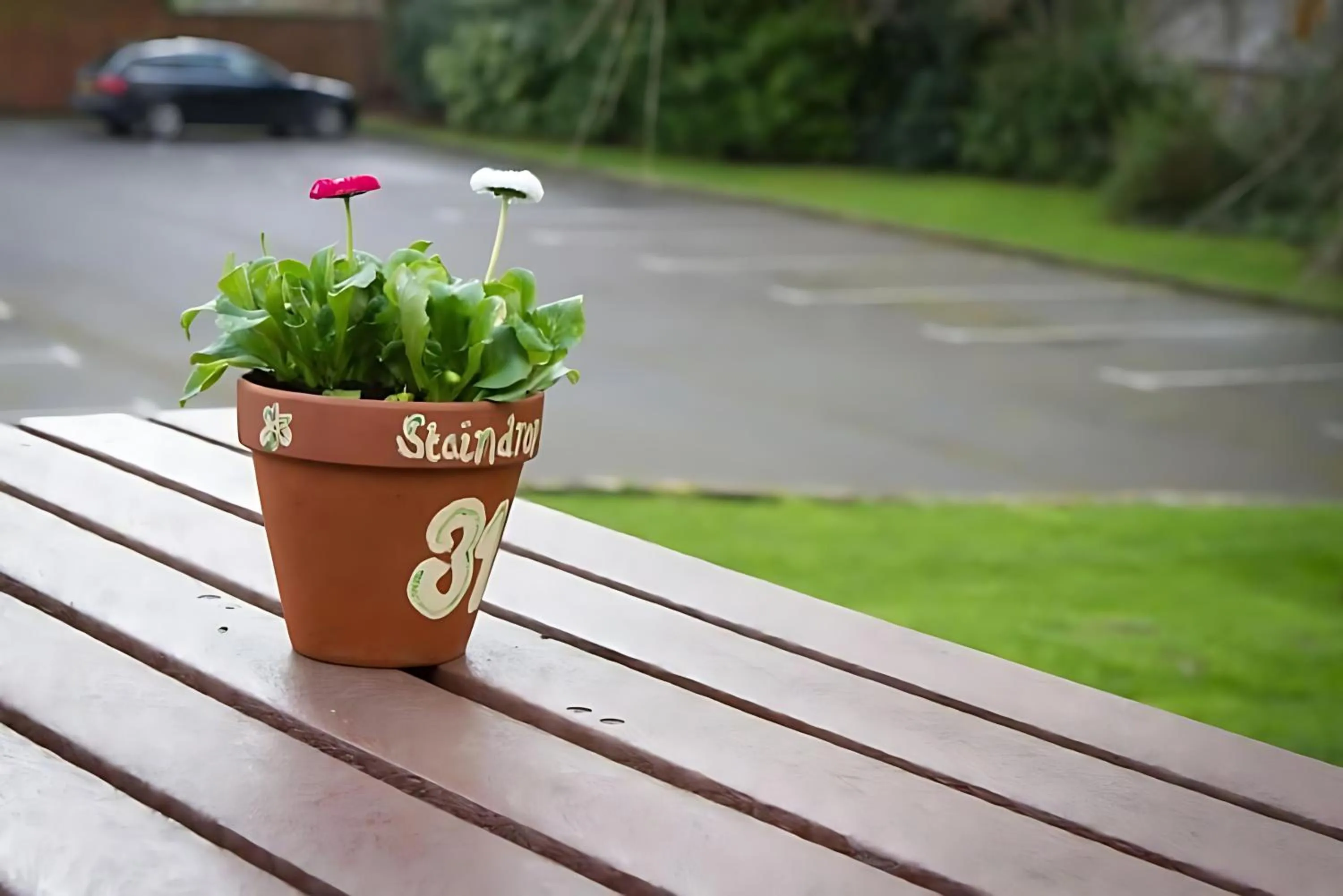 Property building in Staindrop Hotel