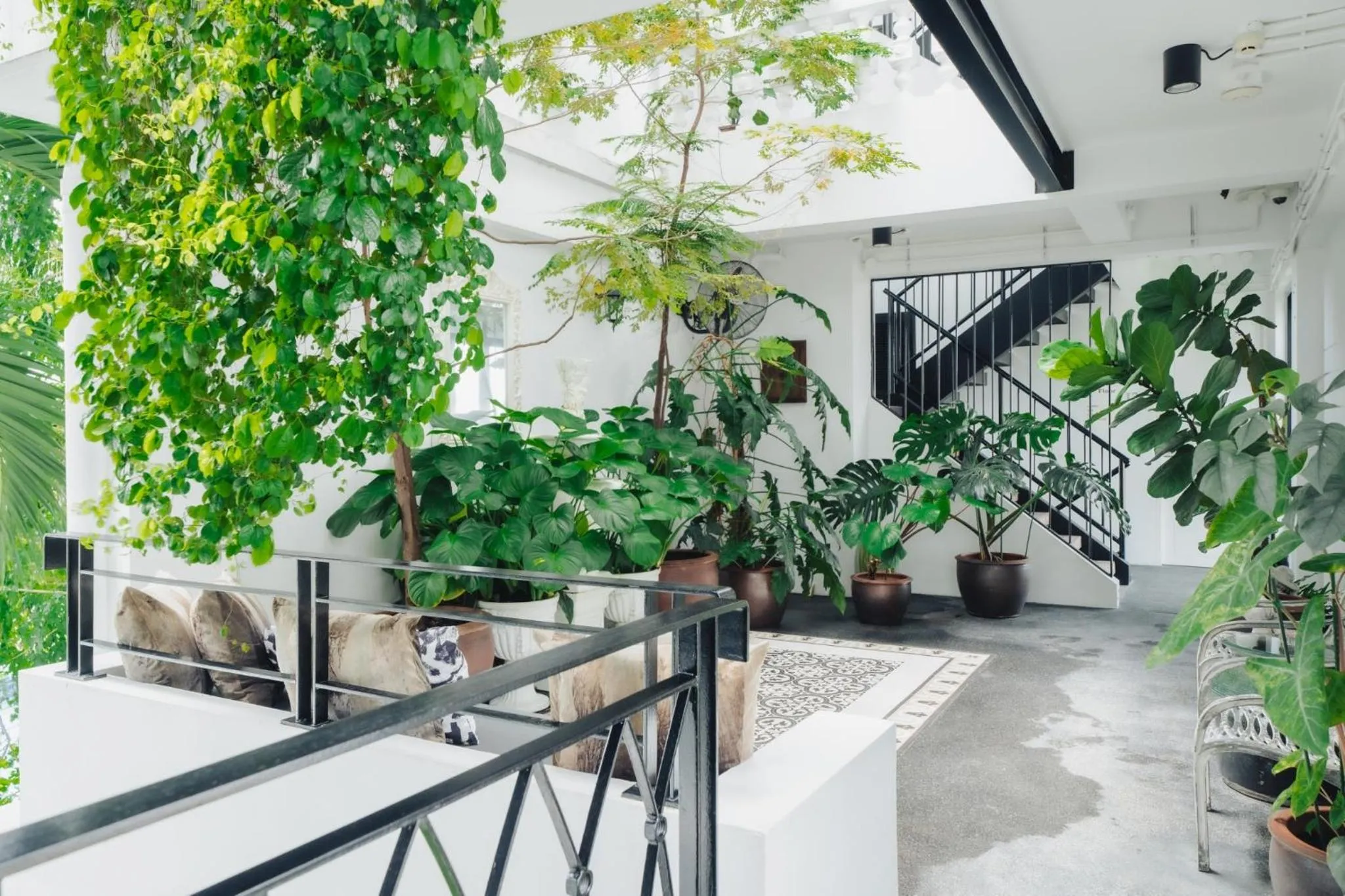 Garden in Xinlor House - Phuket Old Town