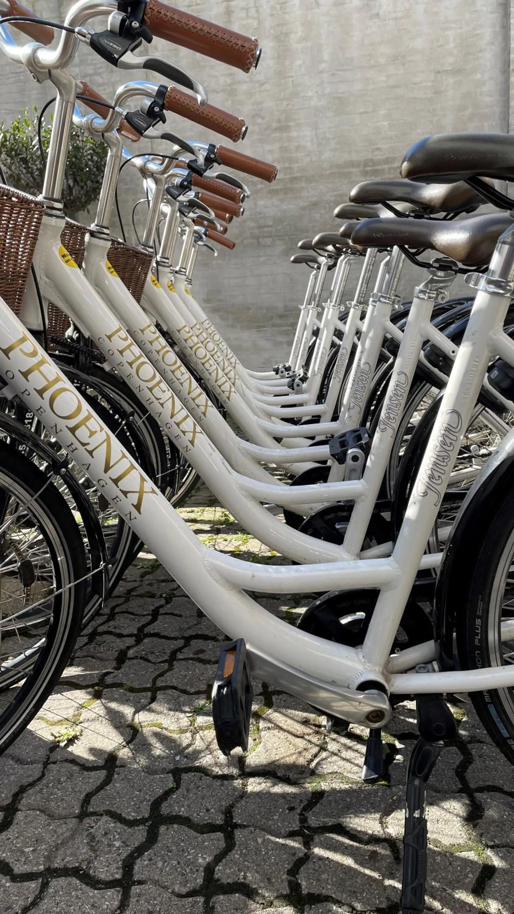 Cycling in Phoenix Copenhagen