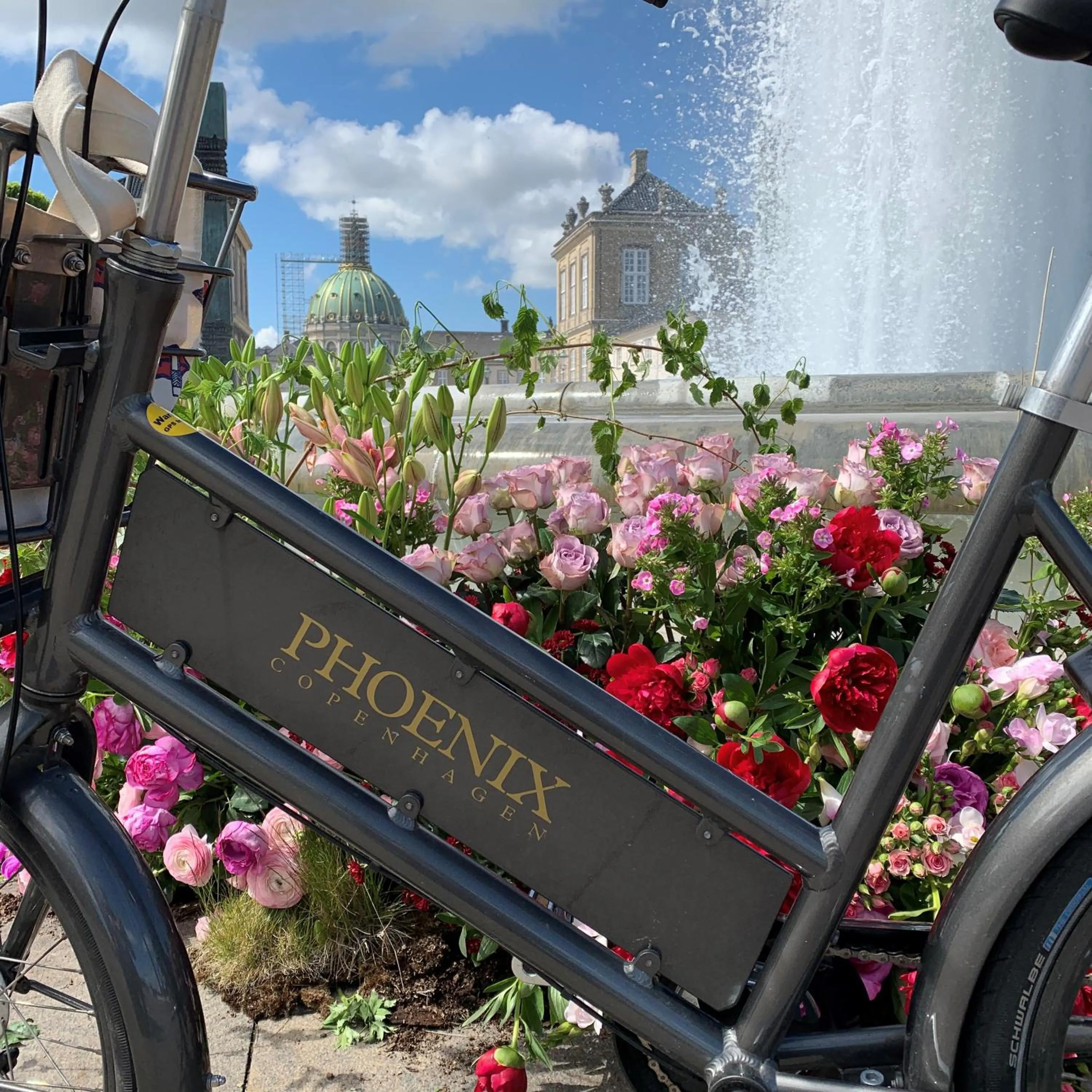 Cycling in Phoenix Copenhagen