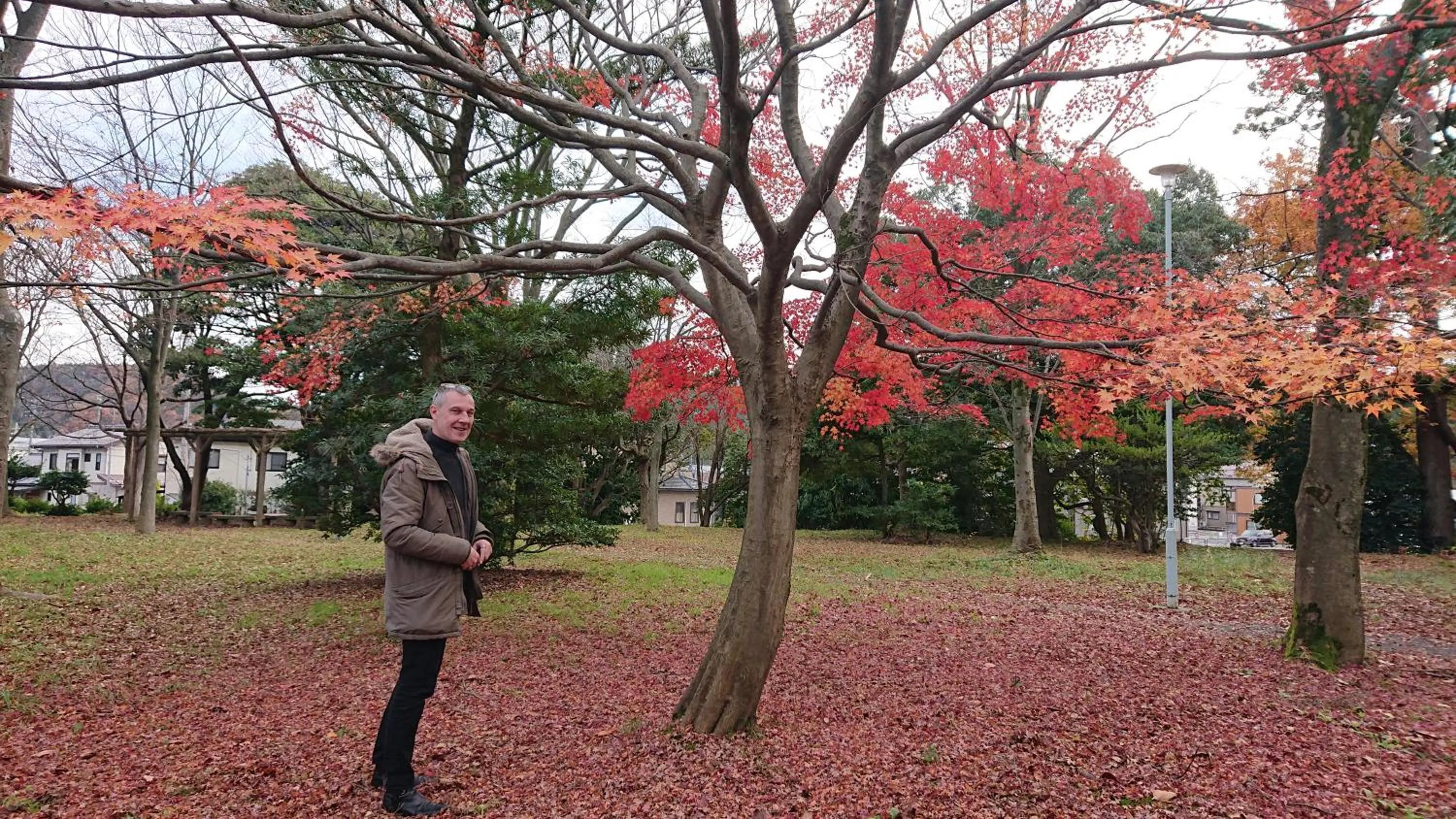 Natural landscape in Live Cafe Hisui no Umi