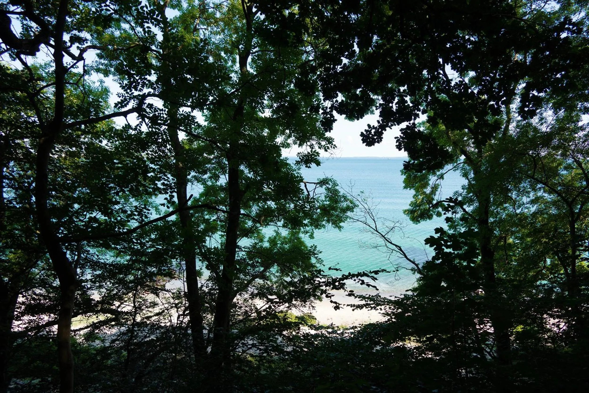 Summer in Helnan Marselis Hotel