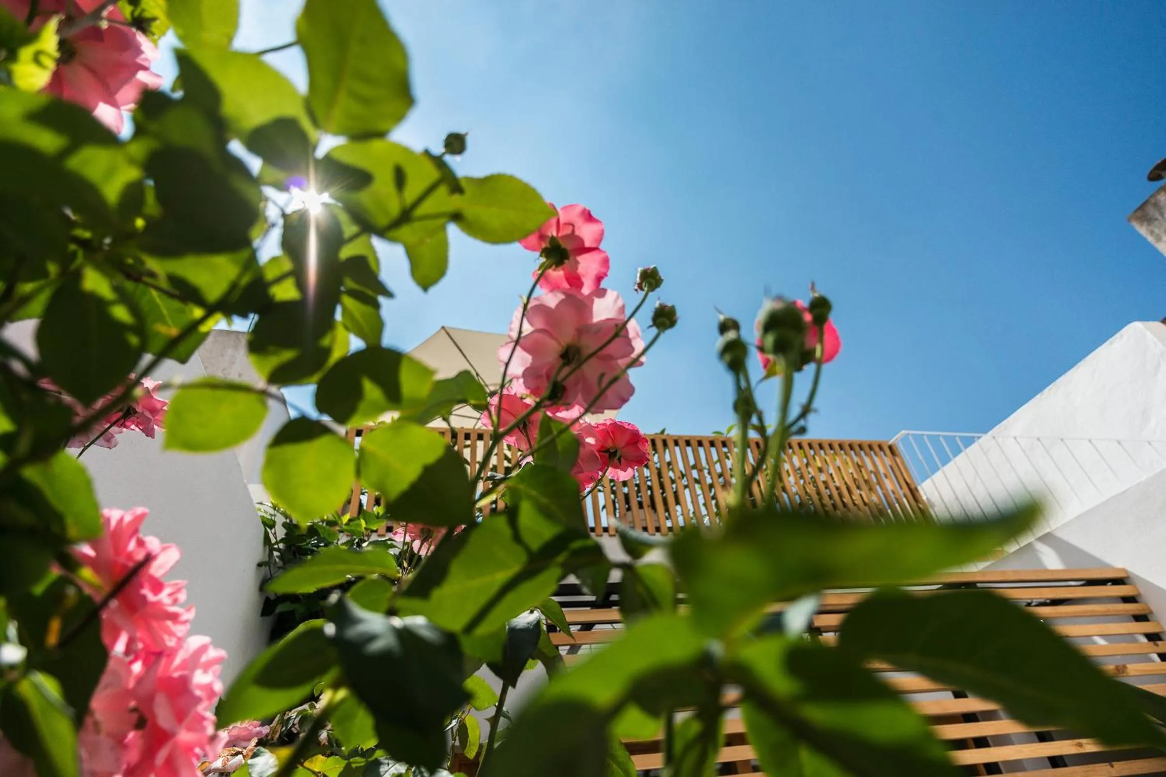 Sodium Boutique Hotel