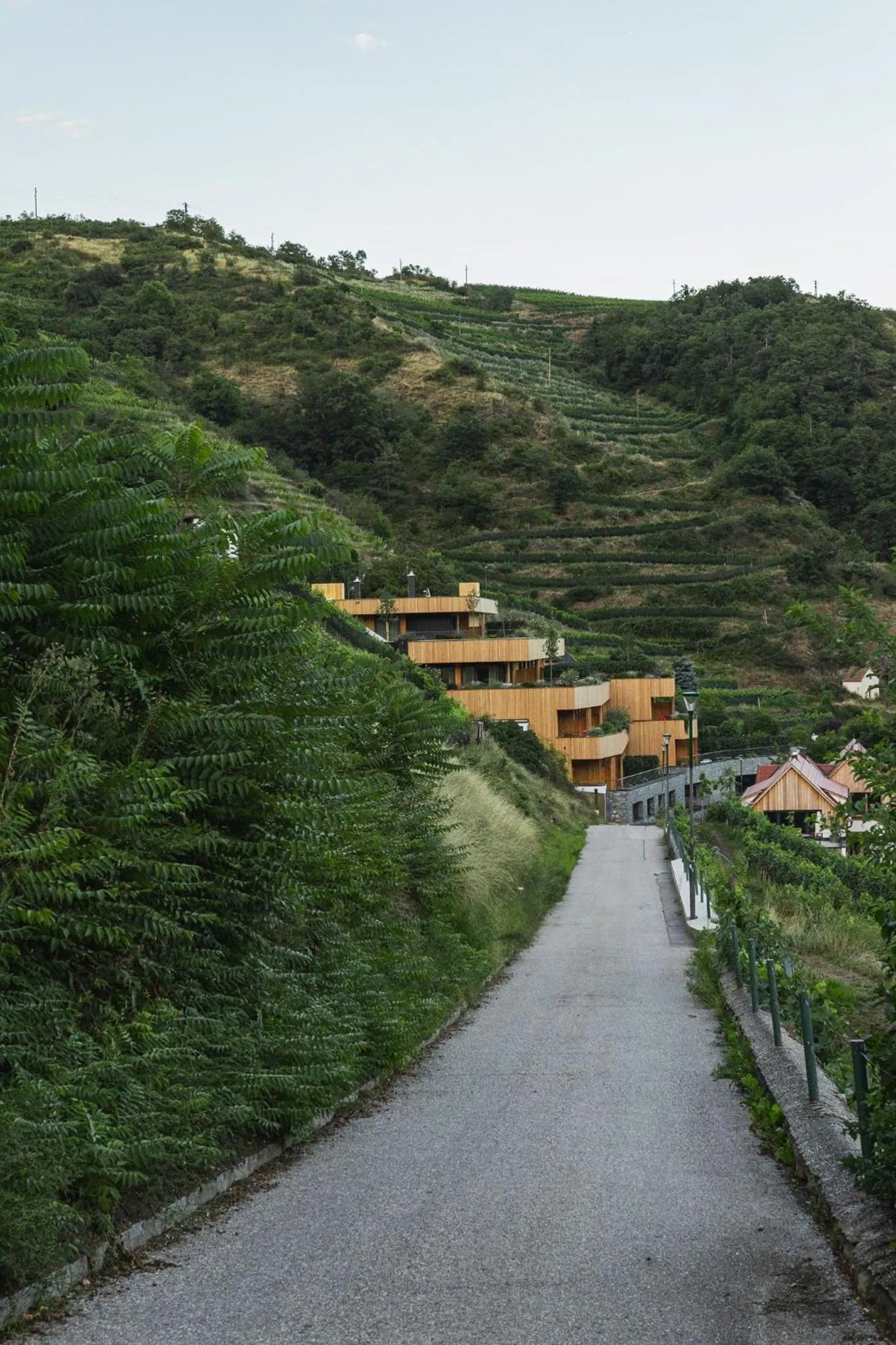 Neighbourhood in Weinhaus Nigl - Hotel, Restaurant und Spa