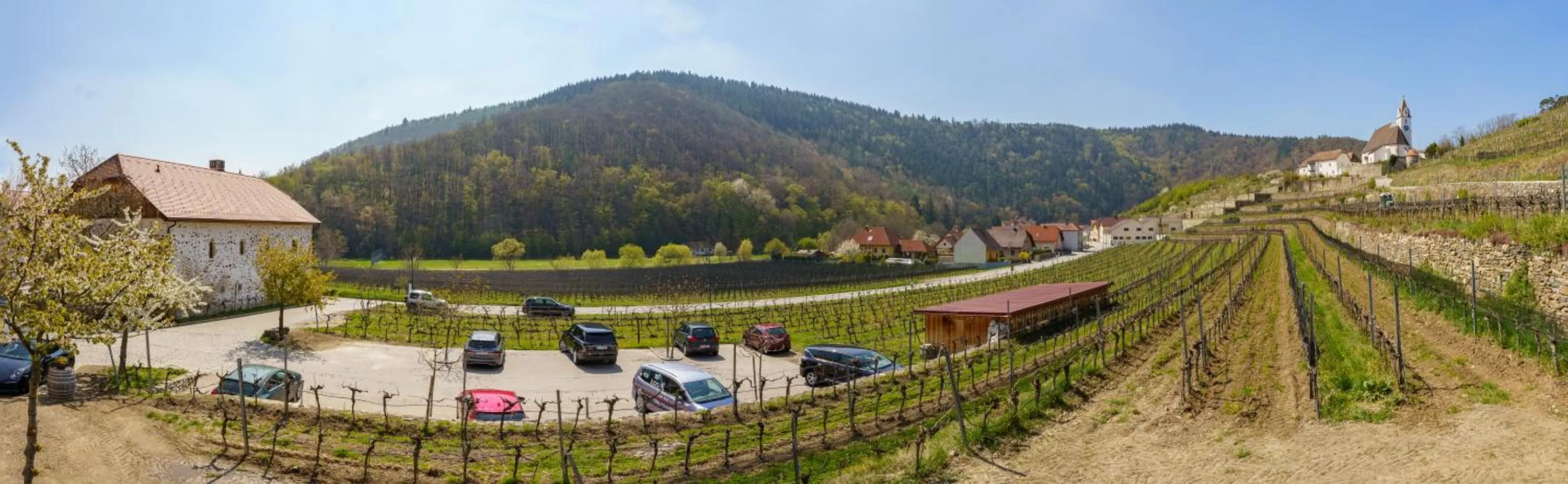 Natural landscape in Weinhaus Nigl - Hotel, Restaurant und Spa