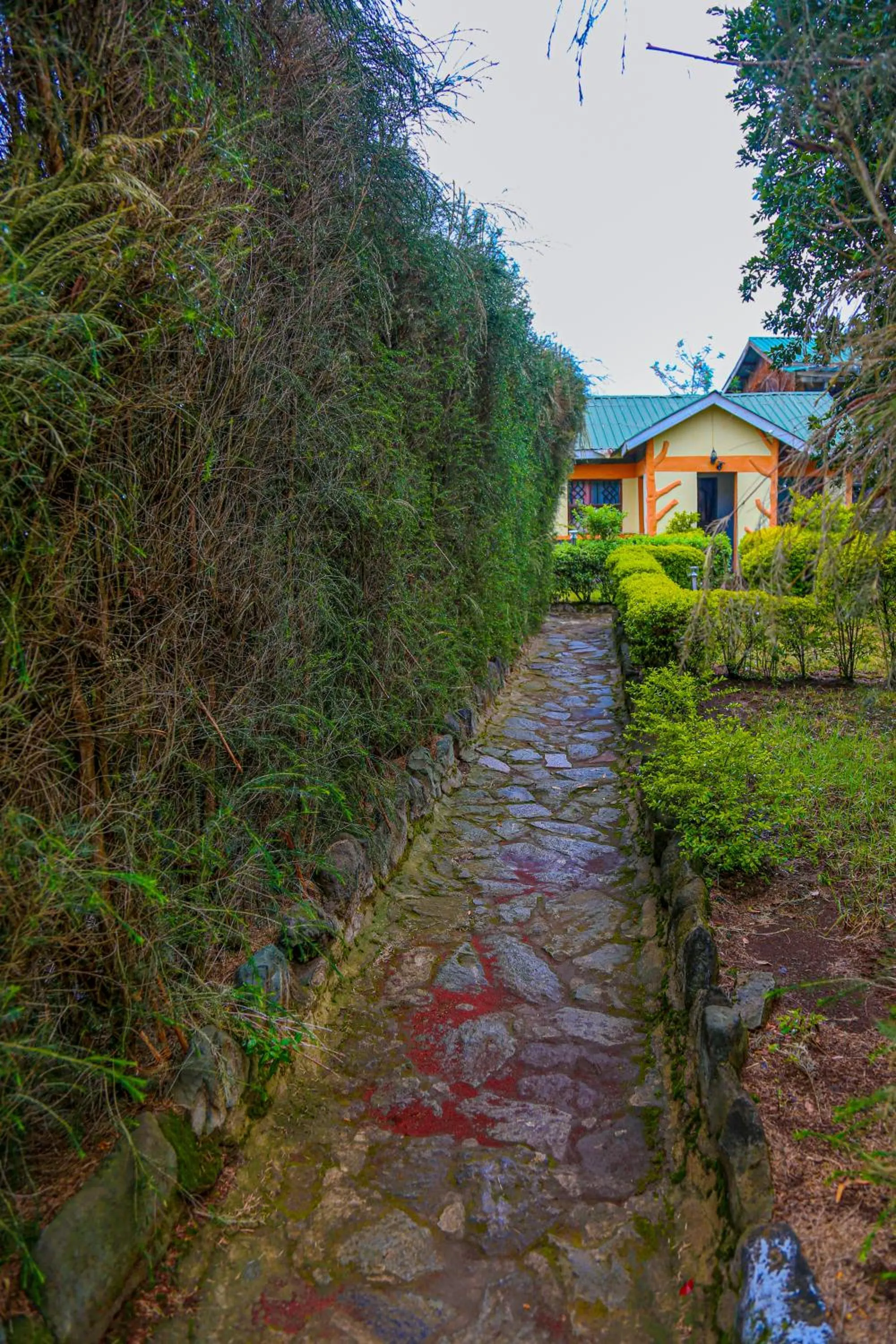 Natural landscape in Naivasha Peppercorn Holiday Resort