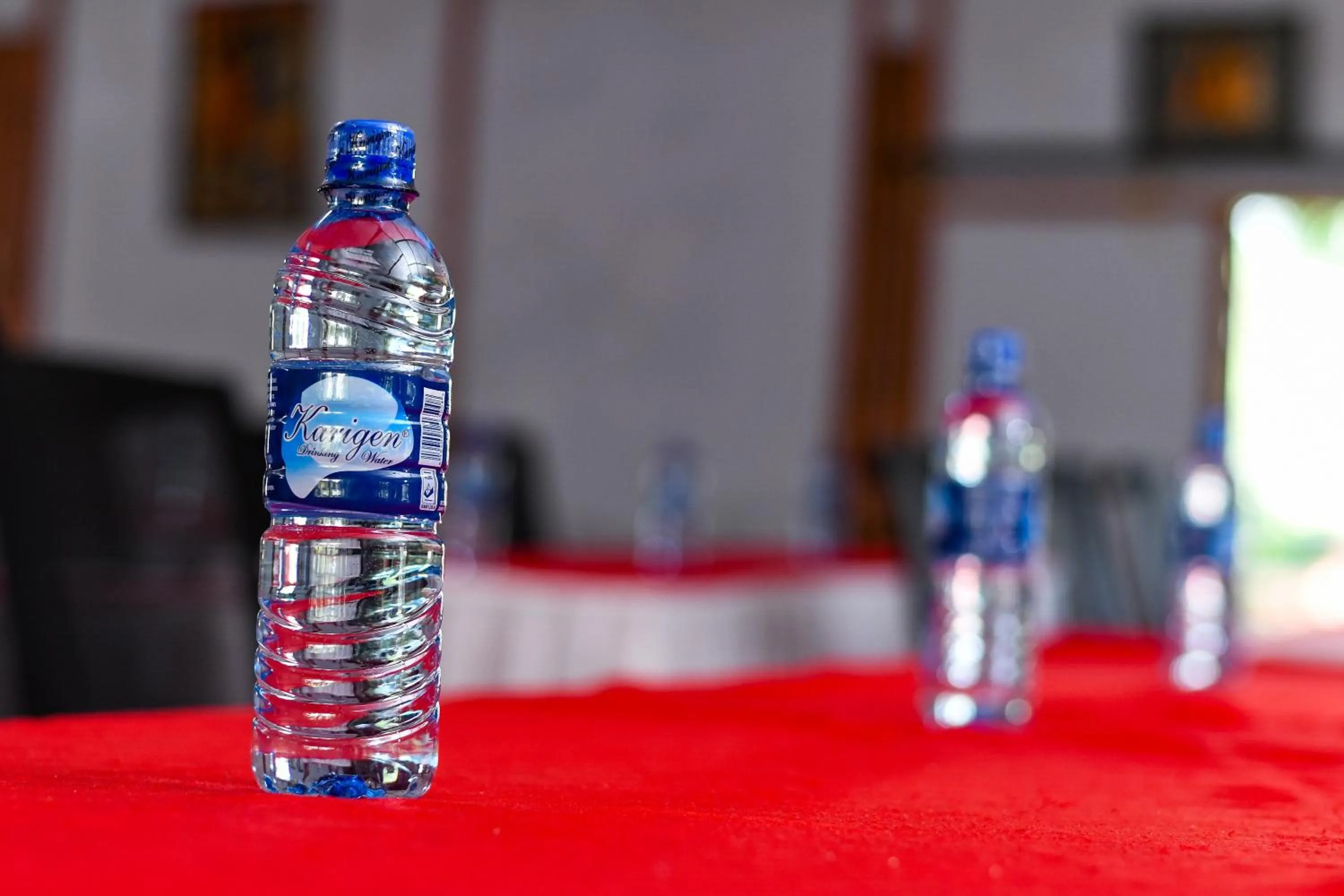 Meeting/conference room in Naivasha Peppercorn Holiday Resort