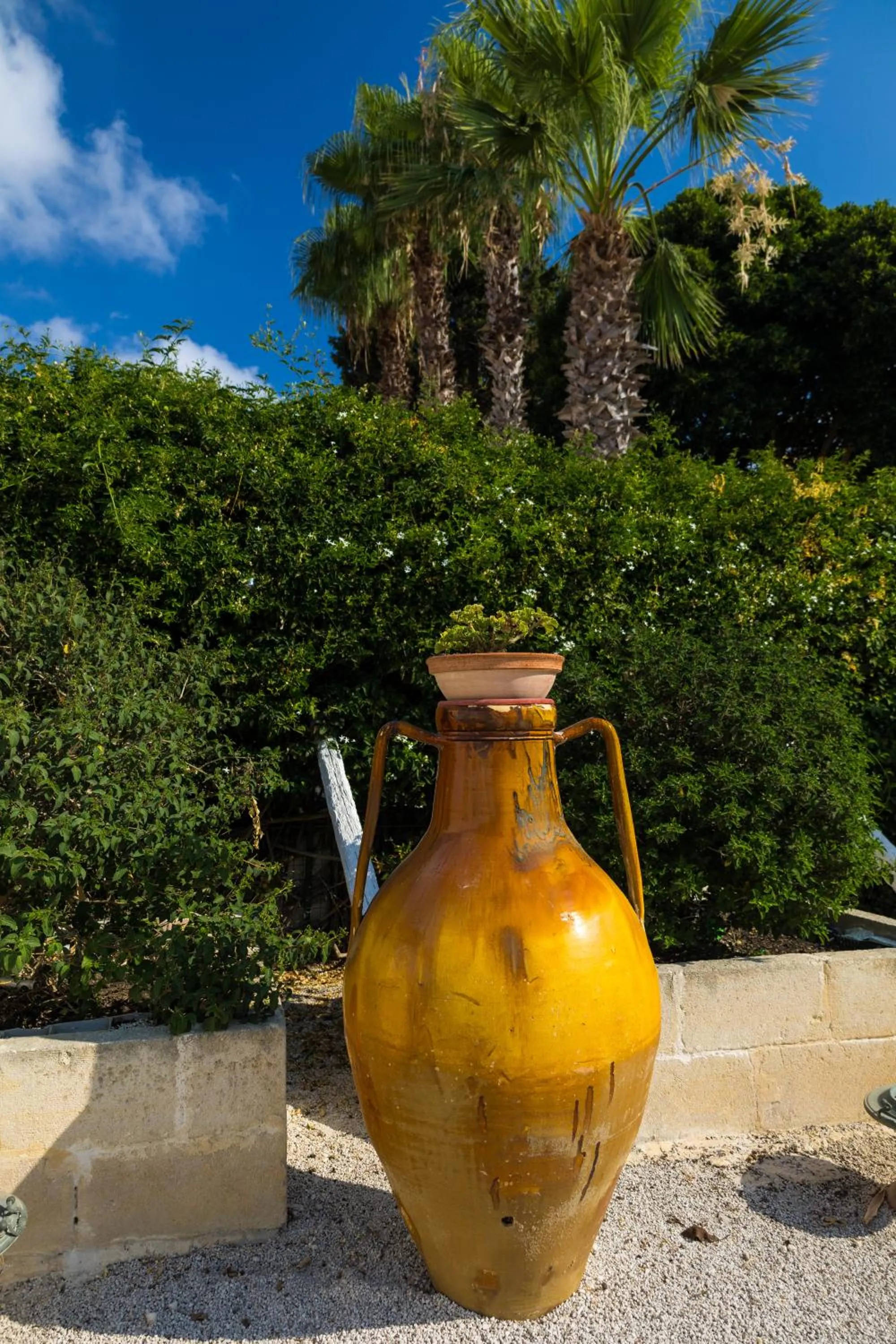 Garden in Masseria Monache