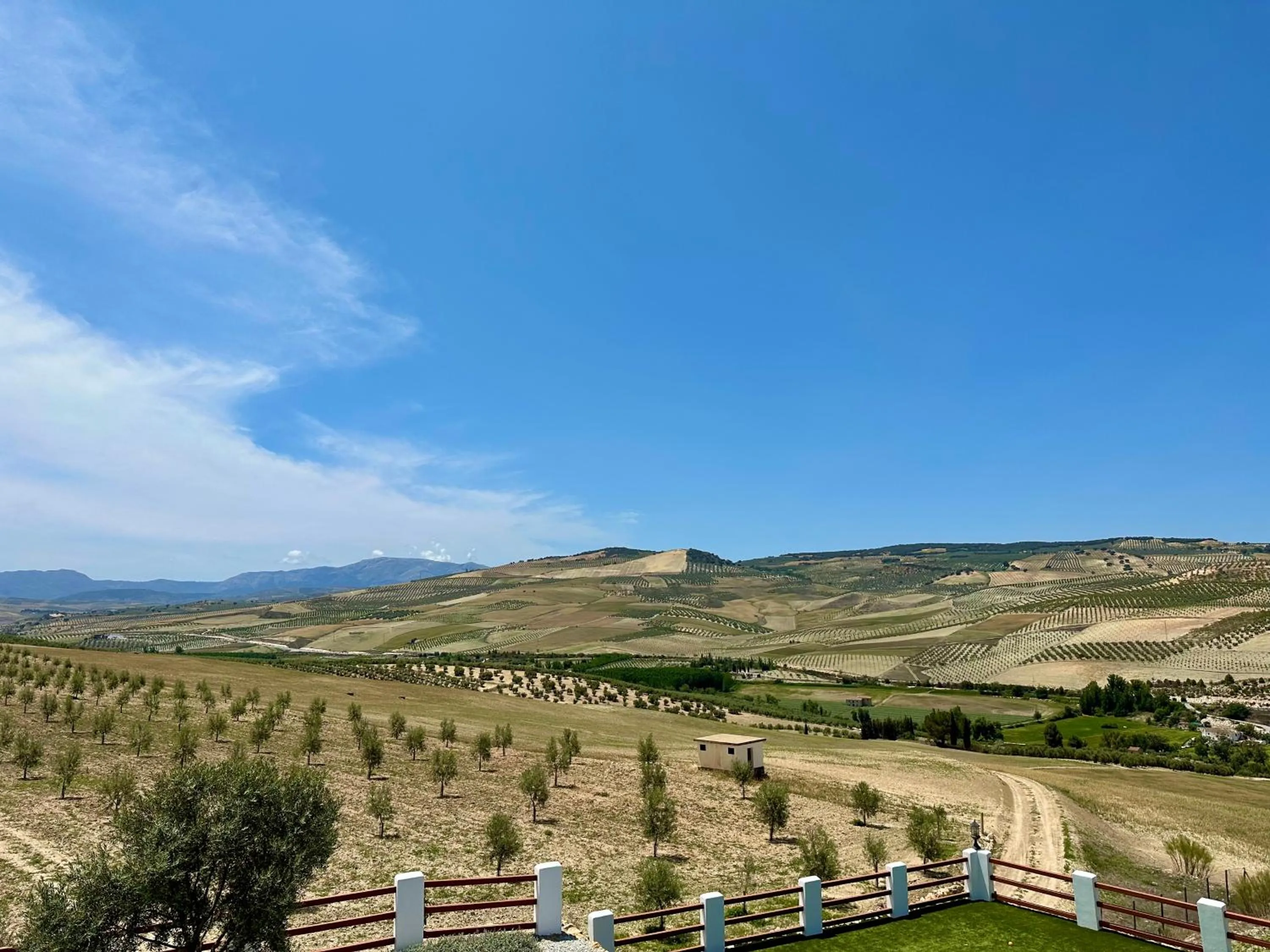 View (from property/room) in El Amparo