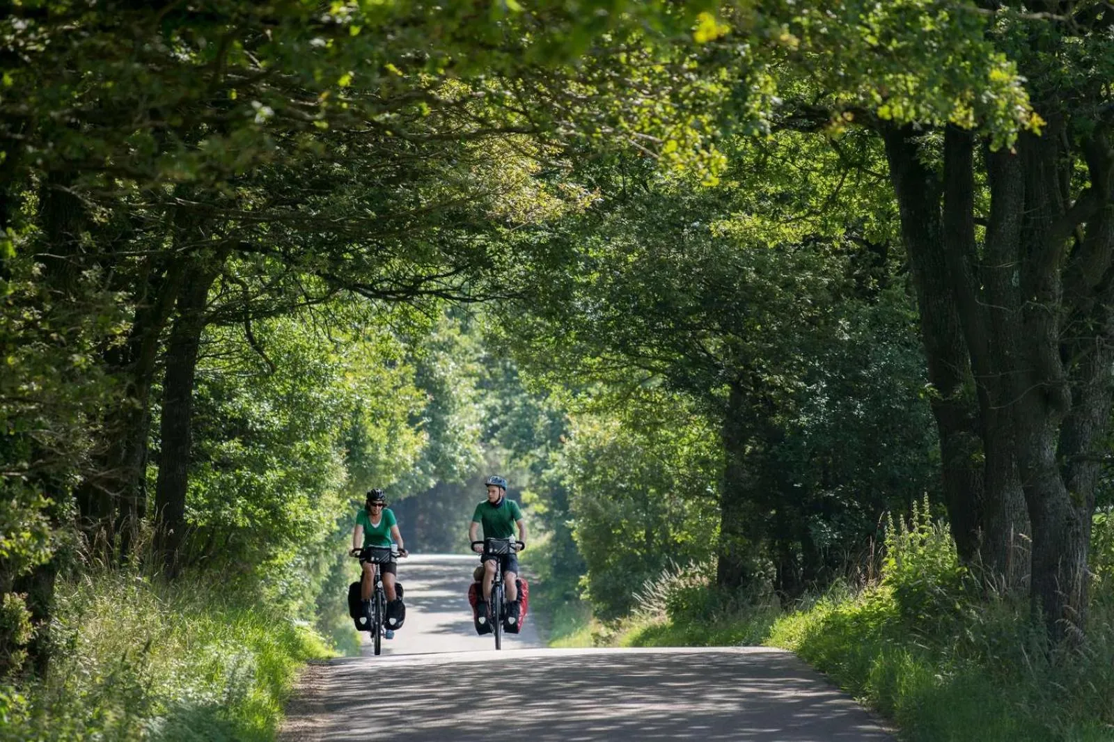 Natural landscape in Hotel Dania