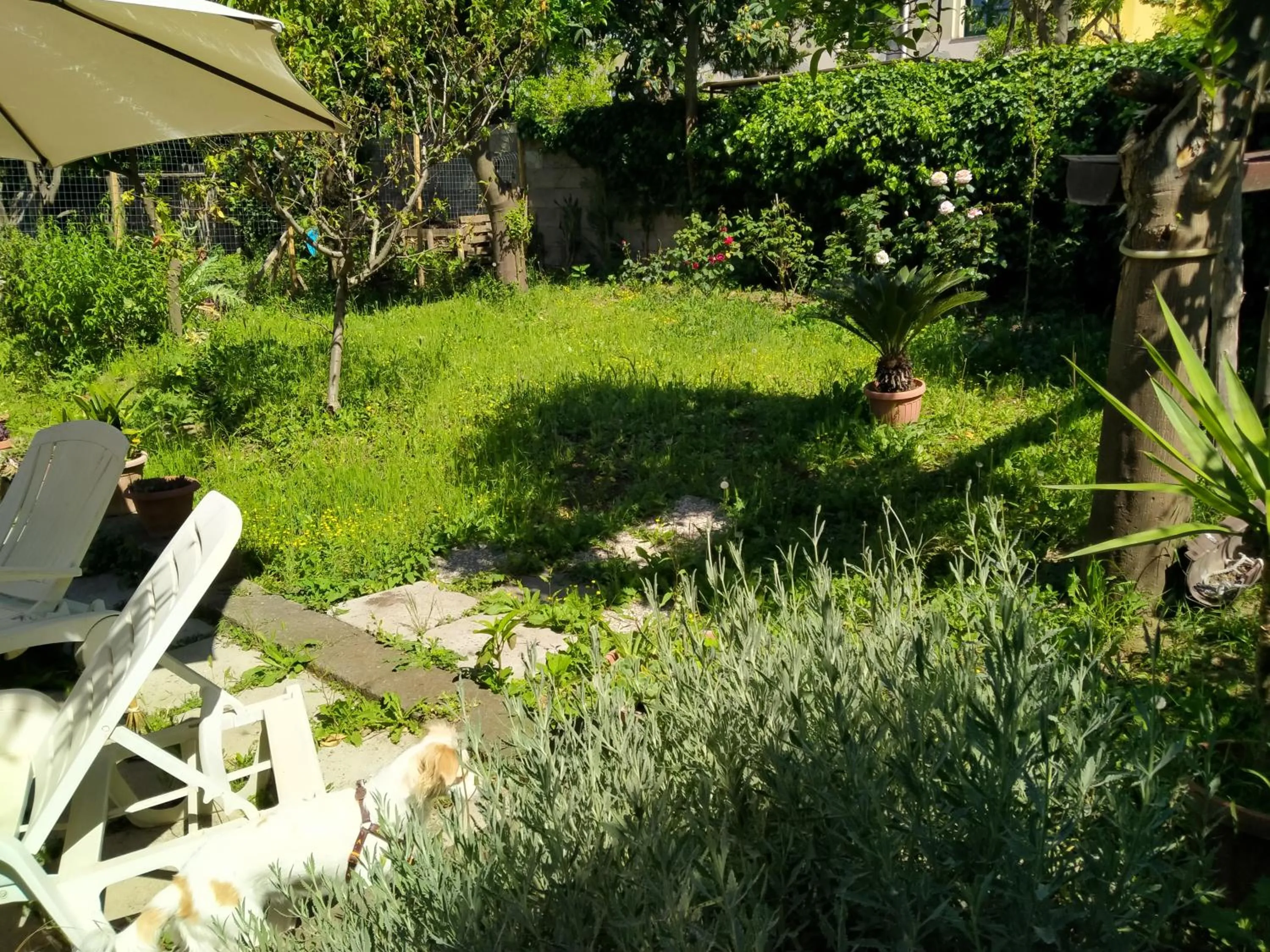 Natural landscape in Villino L'Aranceto Sorrentino