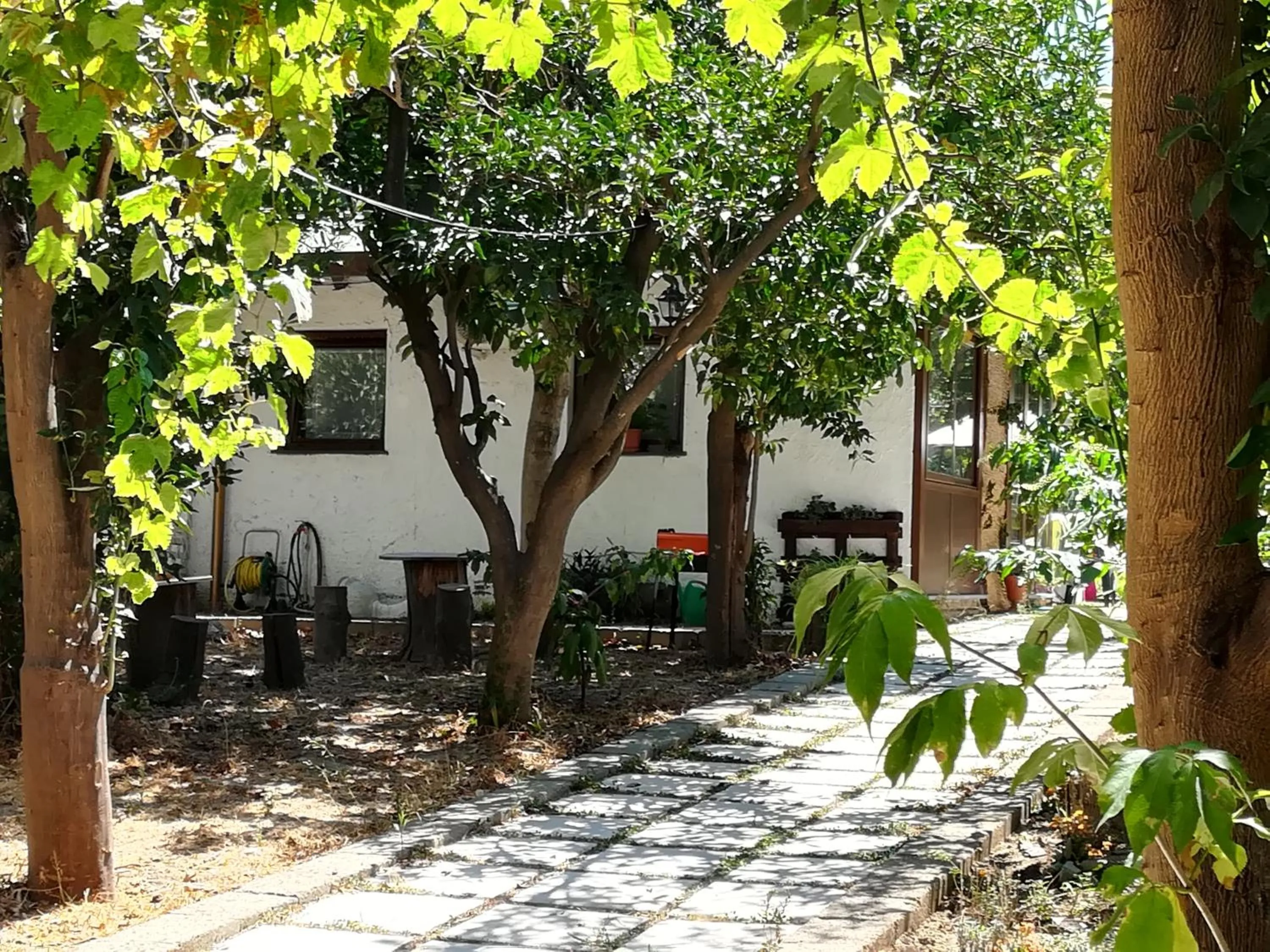 Facade/entrance in Villino L'Aranceto Sorrentino