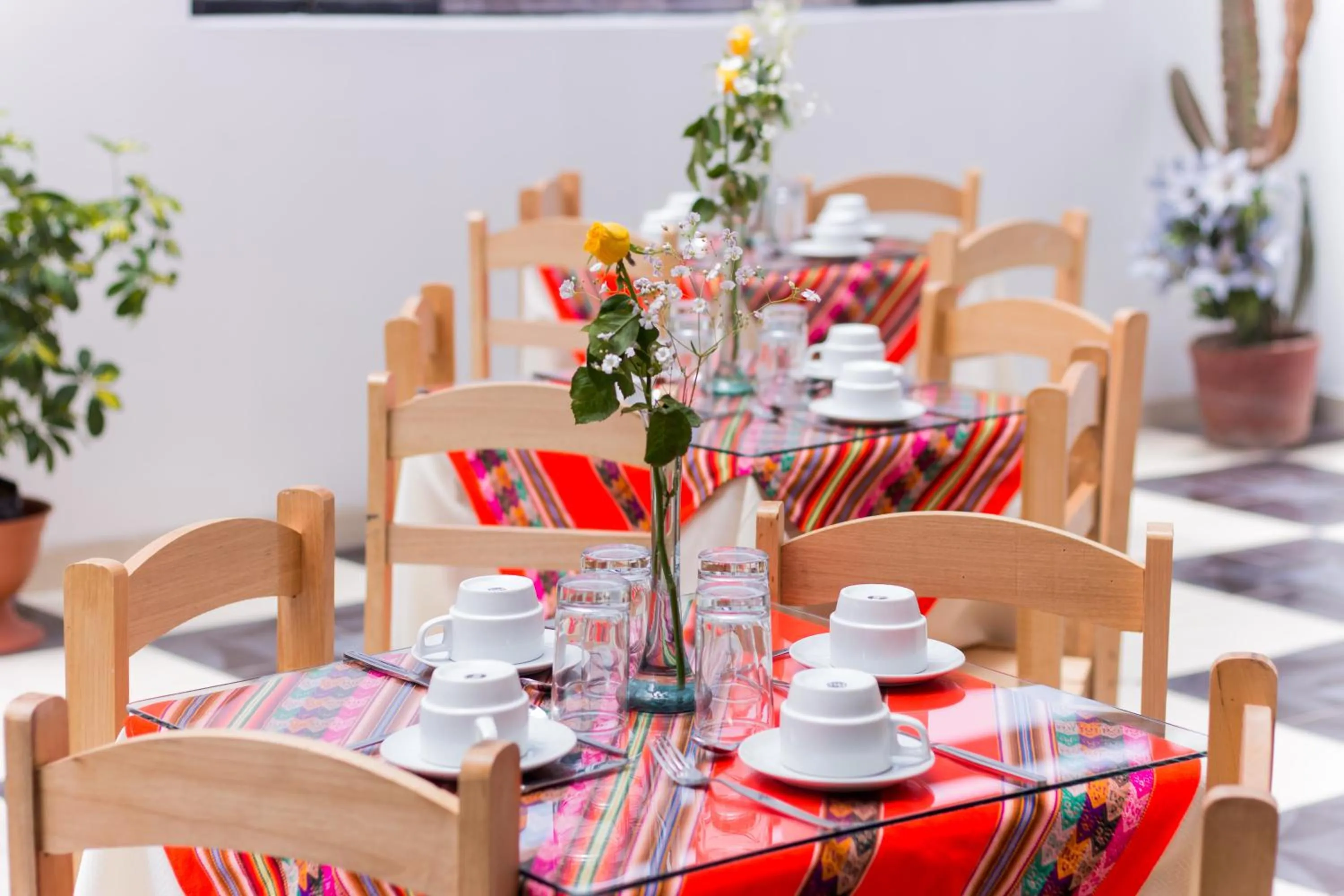 Area and facilities in Hotel Peru Real