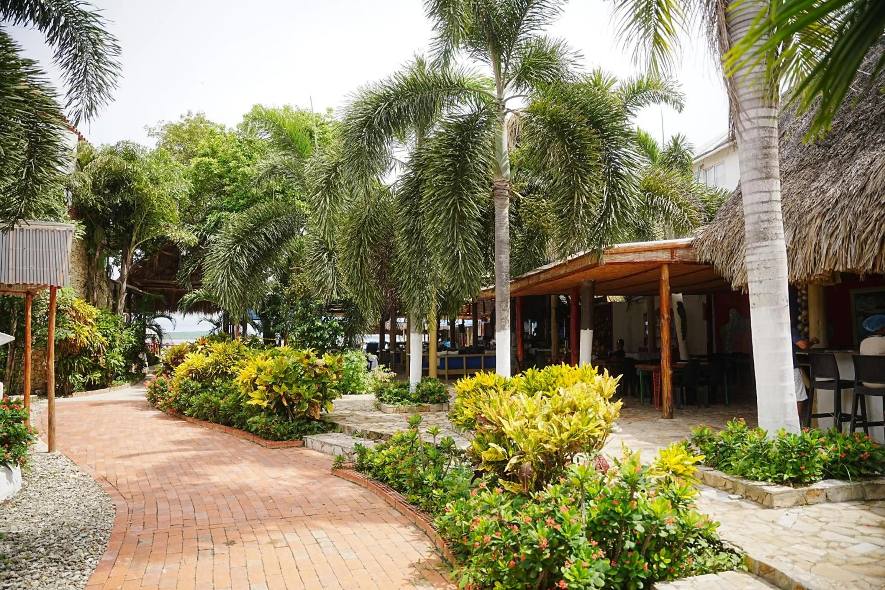 Garden in Hotel Isla Real