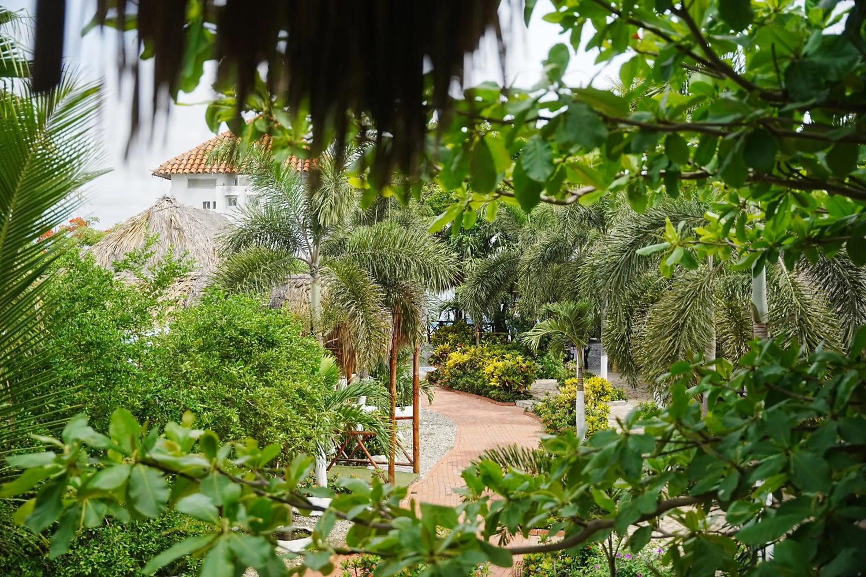 Garden in Hotel Isla Real