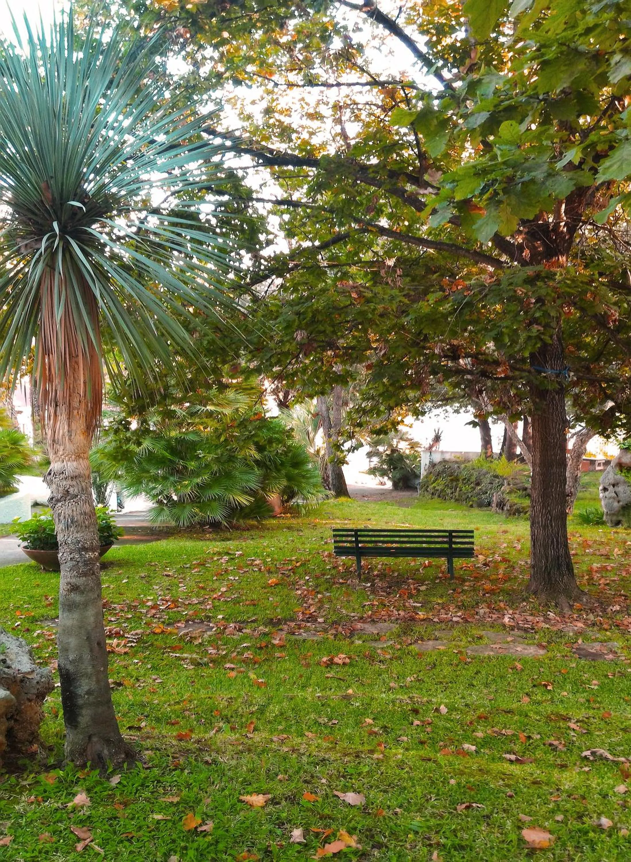 Autumn in Baia D'Oro